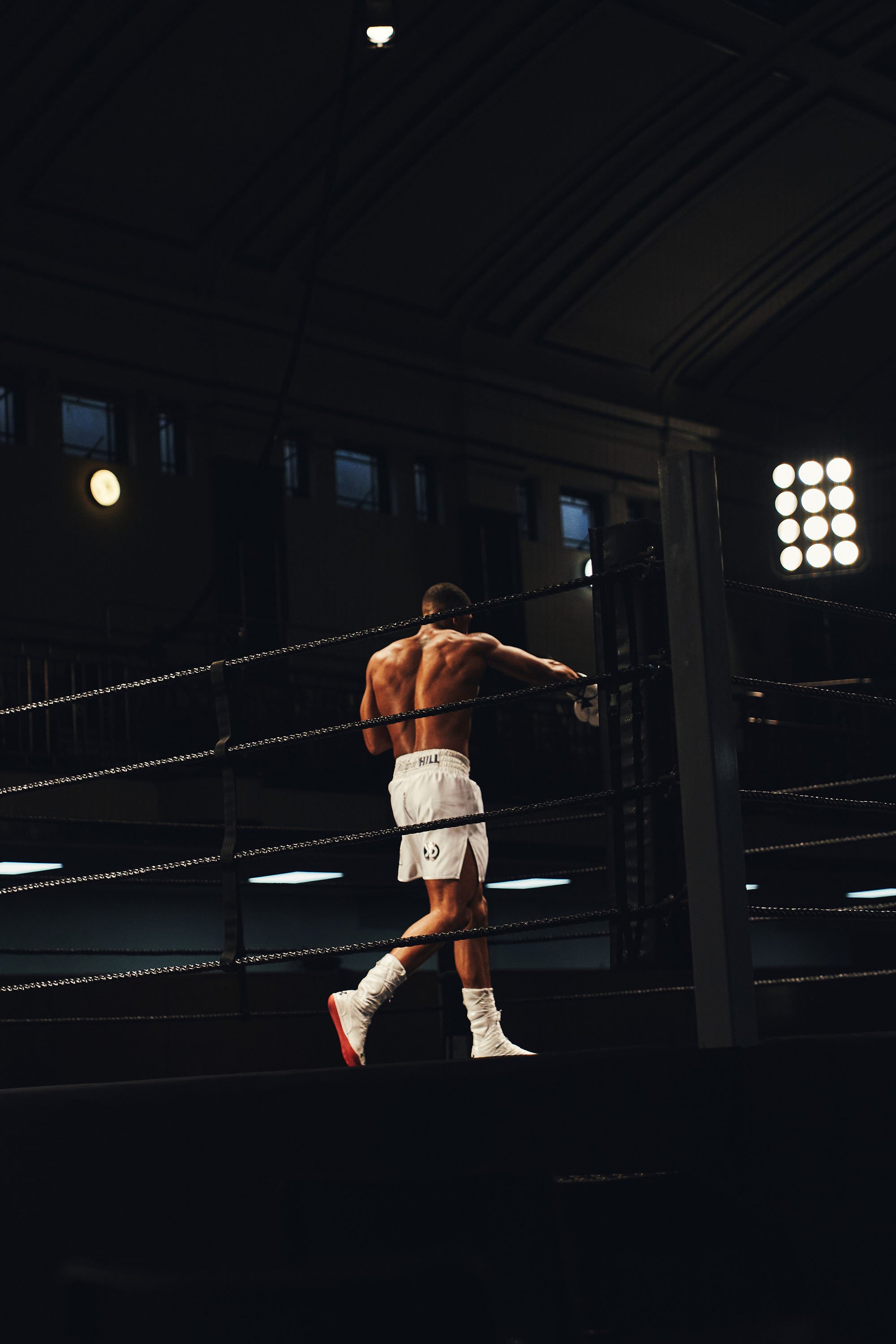 Stockdale_UA_Anthony_Joshua.jpg