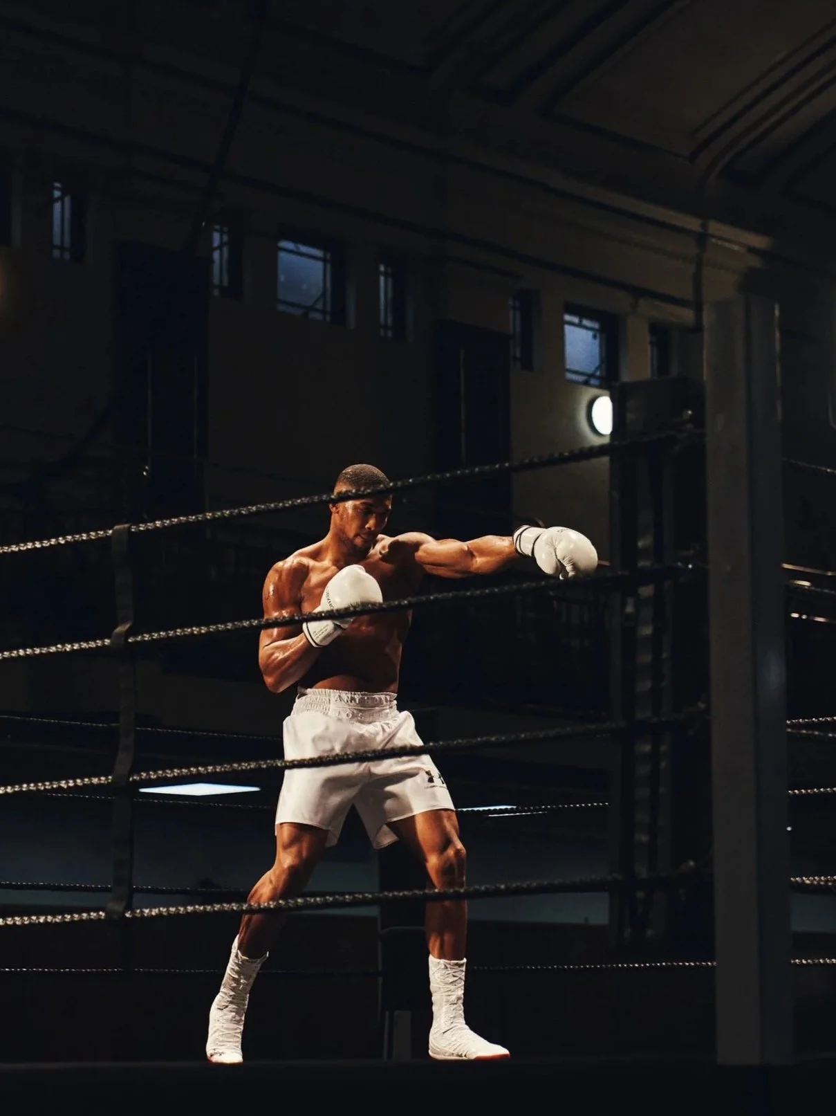 Stockdale_UA_Anthony_Joshua6.jpg
