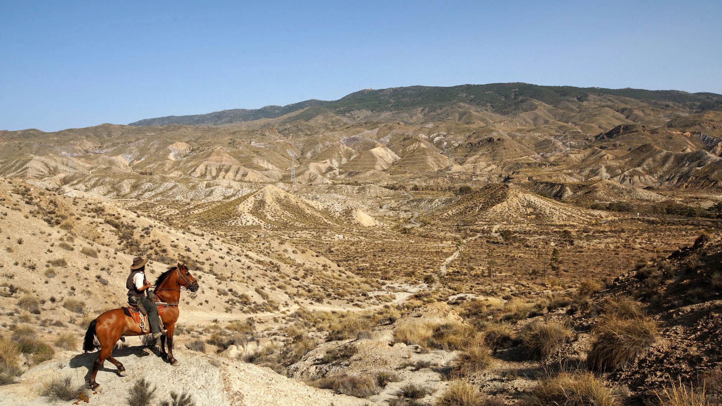Stockdale_WildWest19.jpg