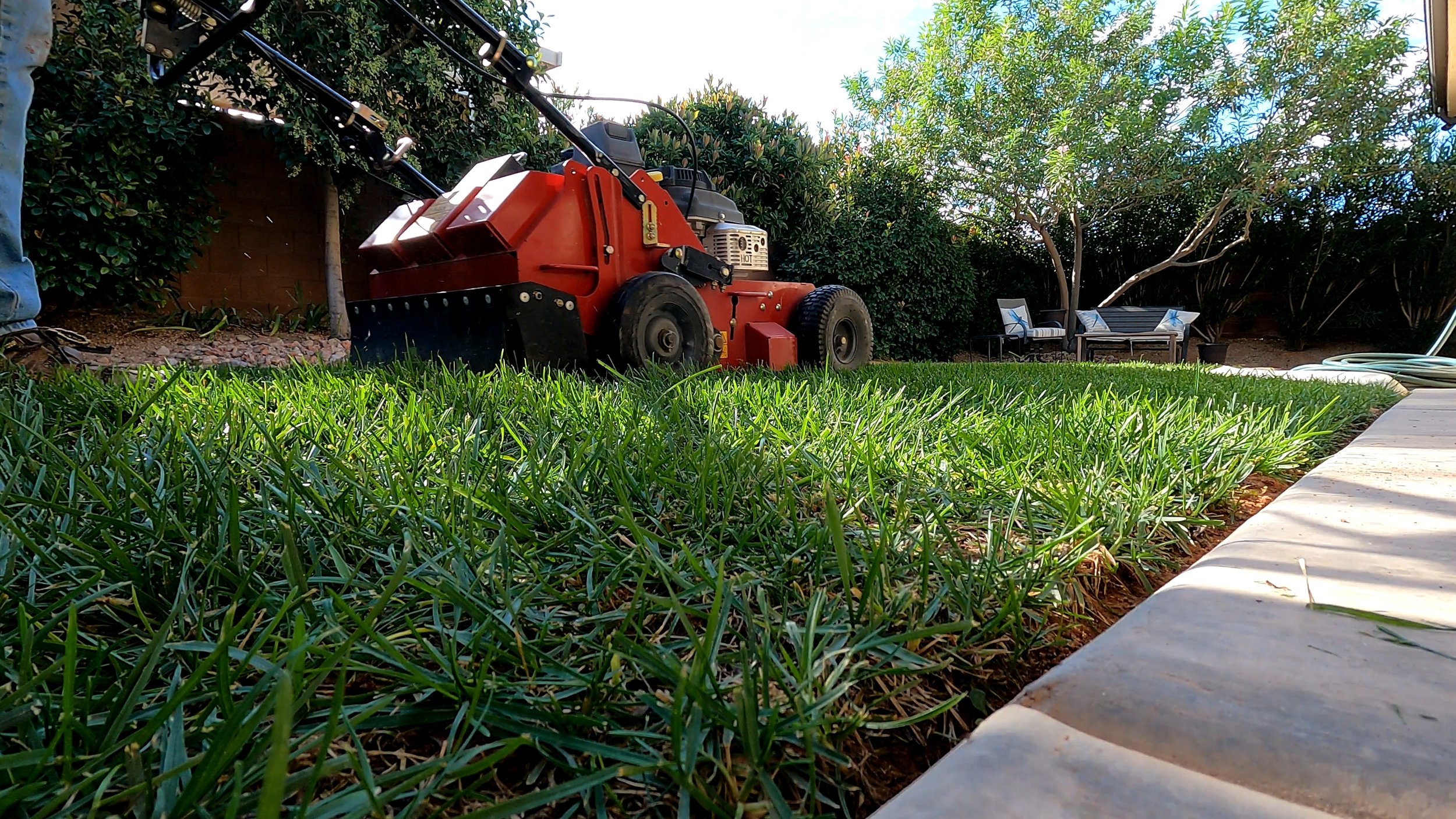 Lawn Restoration & Turf Regeneration