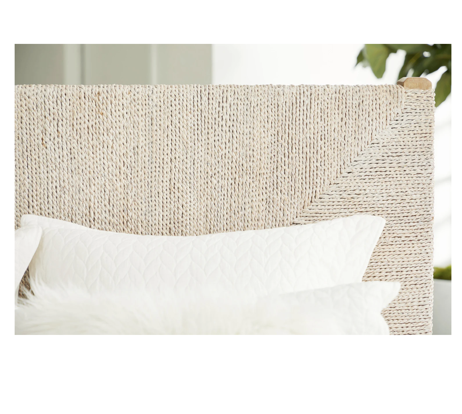 Screenshot 2026-02-22 at 8.54.34 AM.png