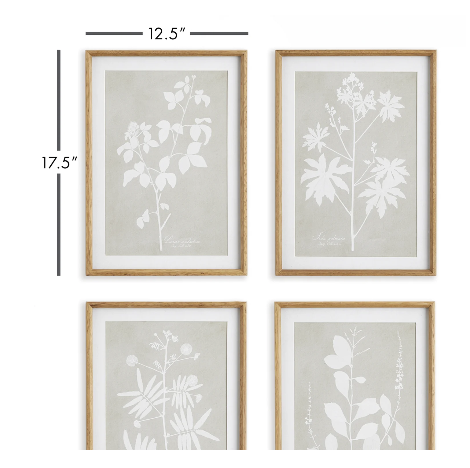 Screenshot 2026-02-15 at 8.31.40 PM.png