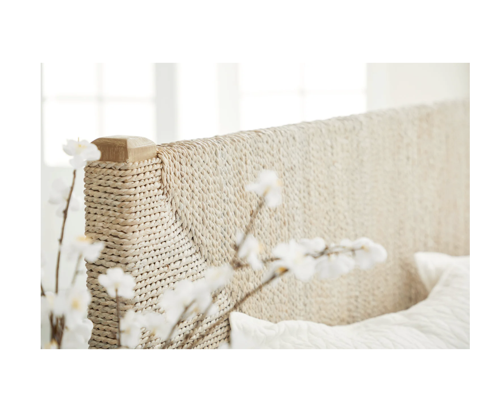 Screenshot 2026-02-22 at 8.54.05 AM.png