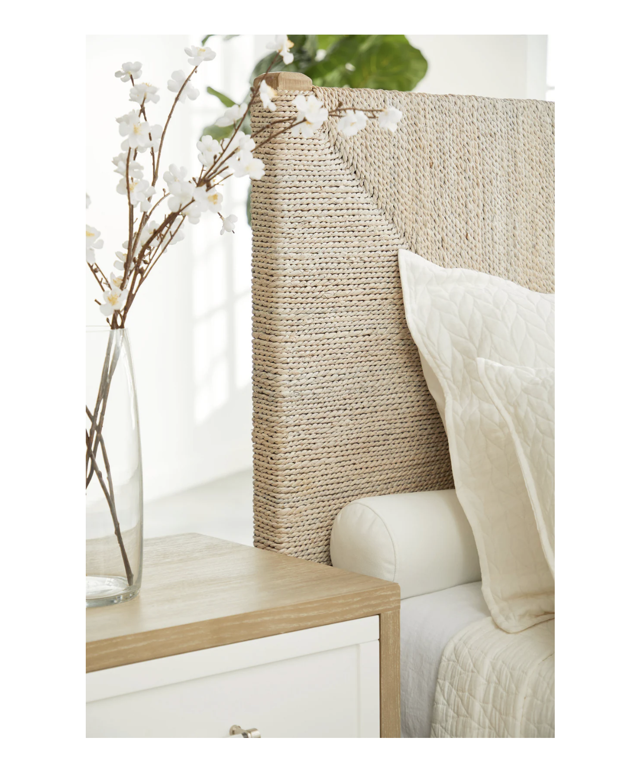 Screenshot 2026-02-22 at 8.54.42 AM.png