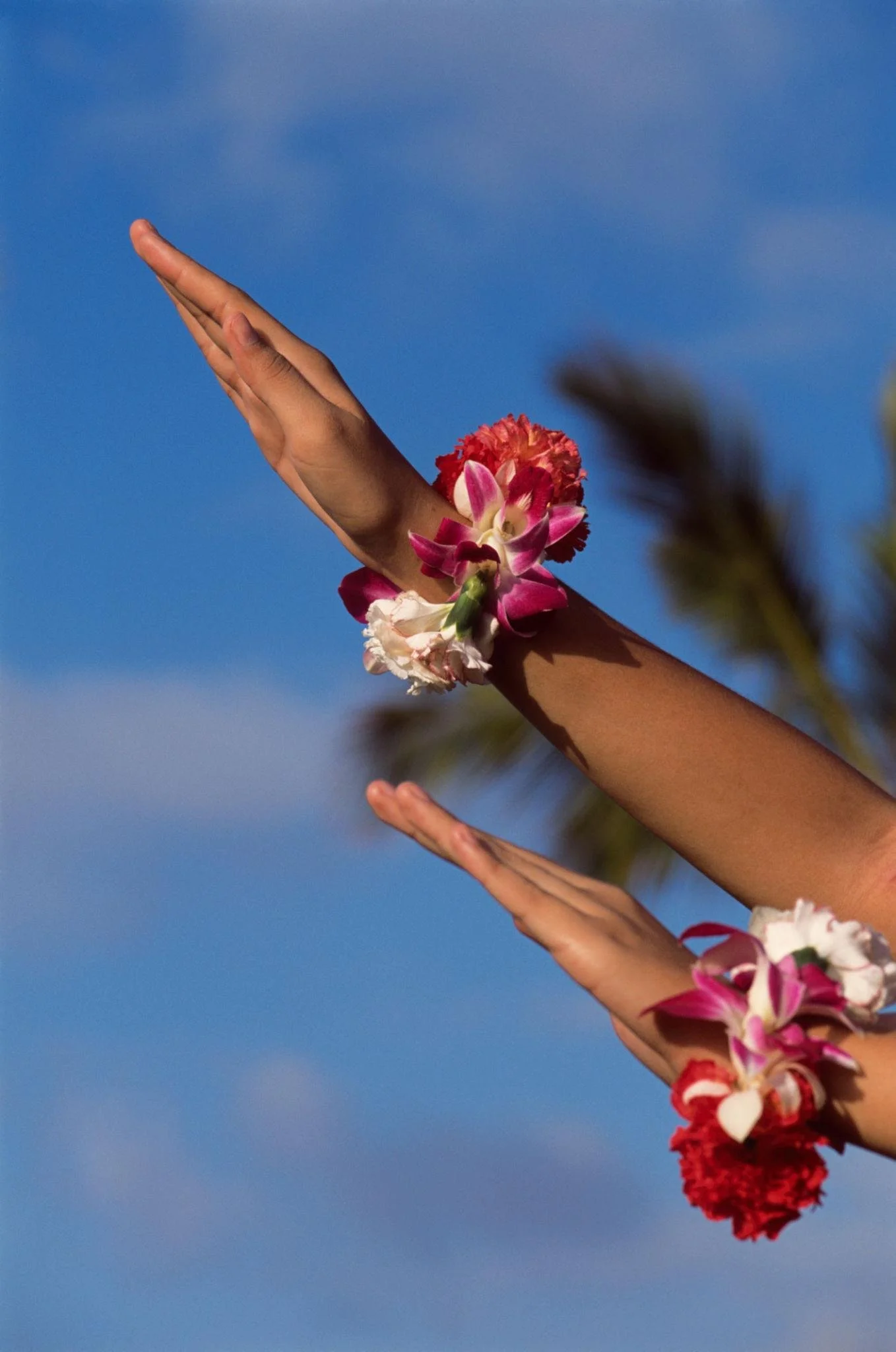 Hula Class in Iguana, Nicaragua: The Dance Class You Didn’t Know You Needed (But Definitely Do)