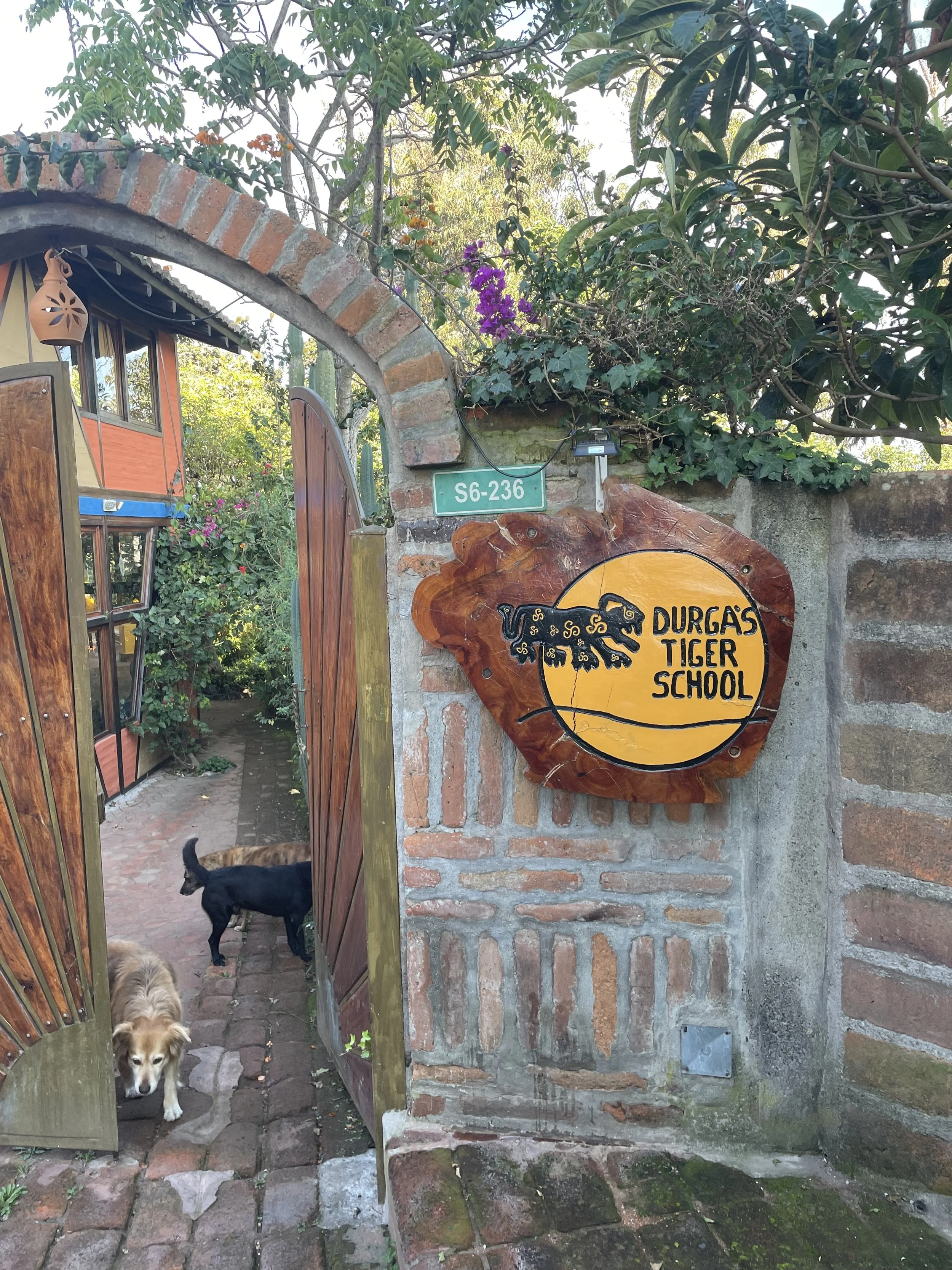 Durga's Tiger School in Quito