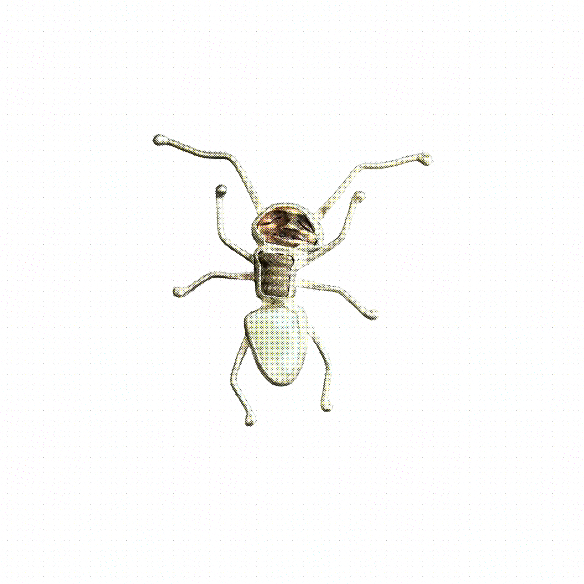 Untitled_Artwork 33.PNG