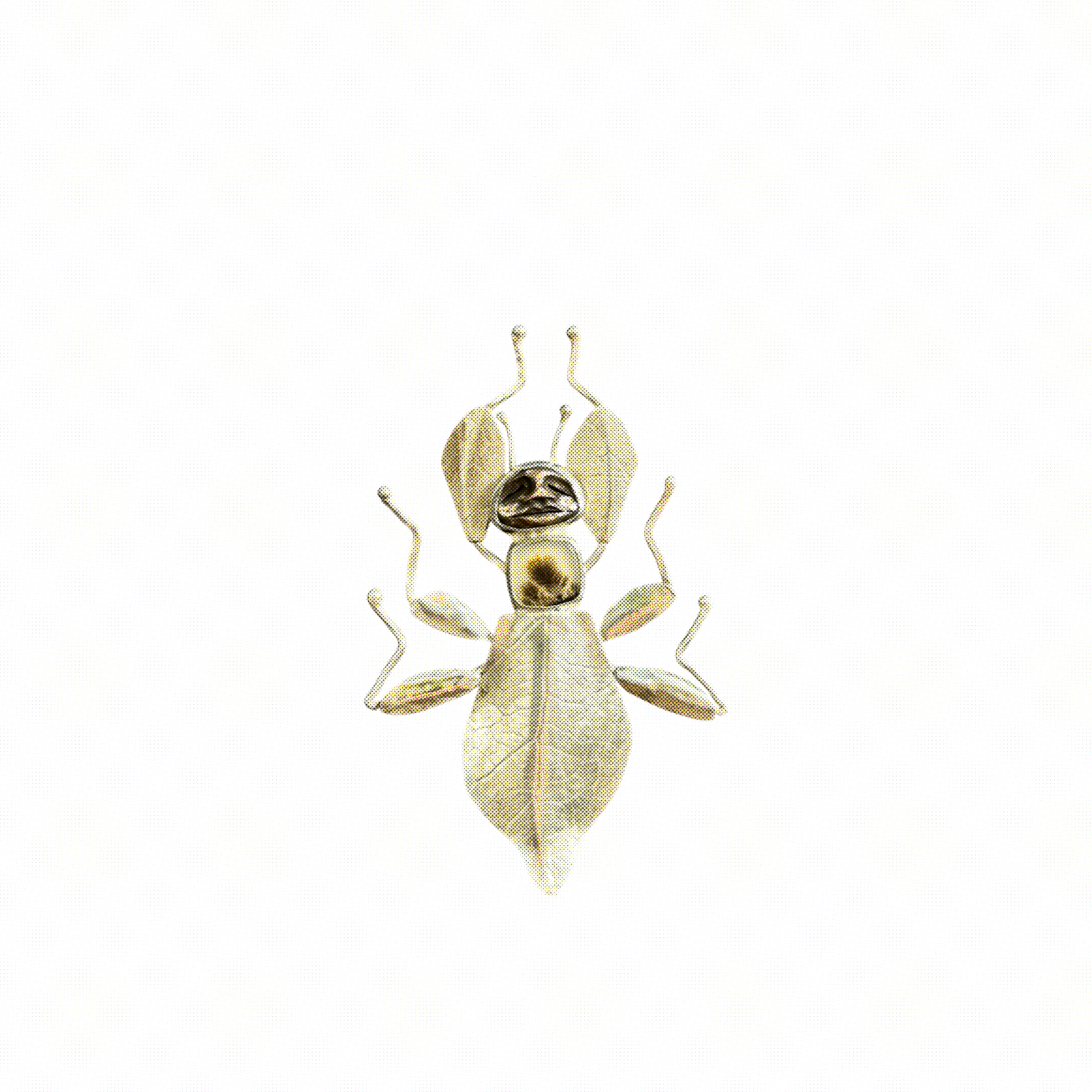 Untitled_Artwork 40.PNG
