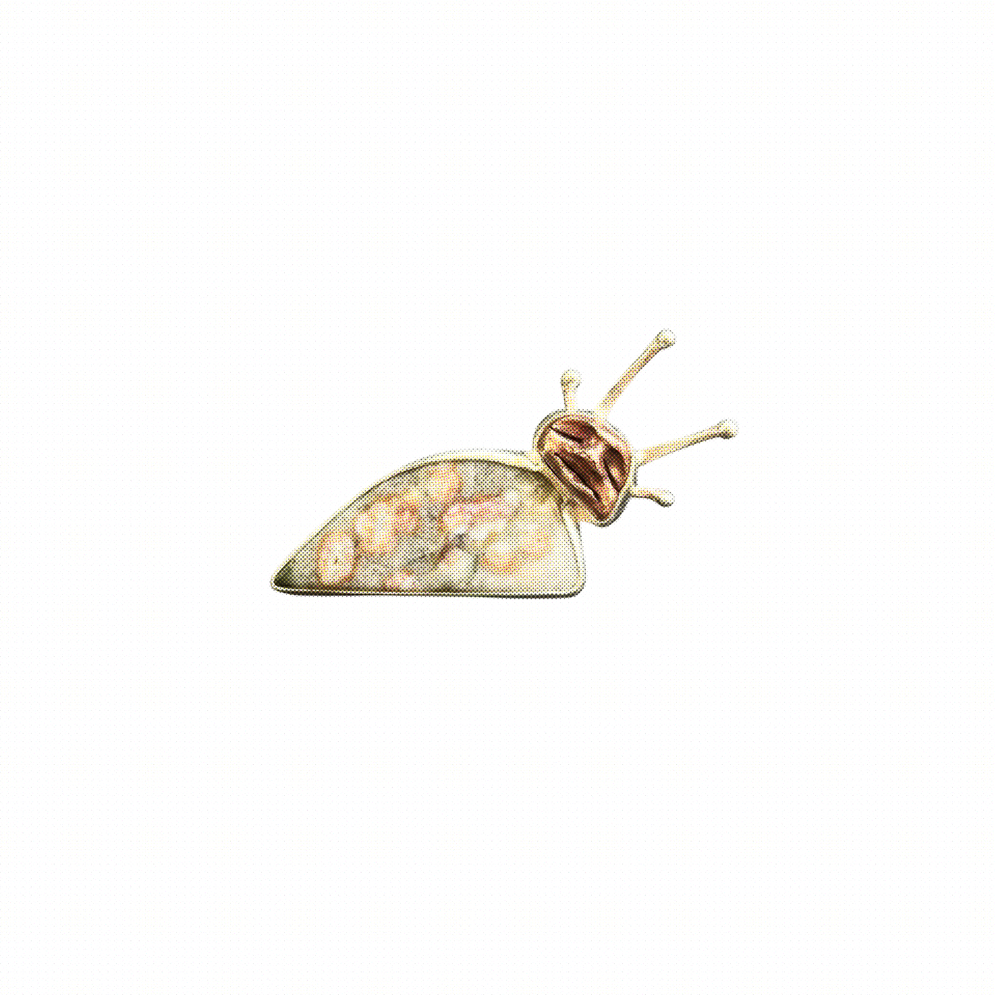 Untitled_Artwork 41.PNG