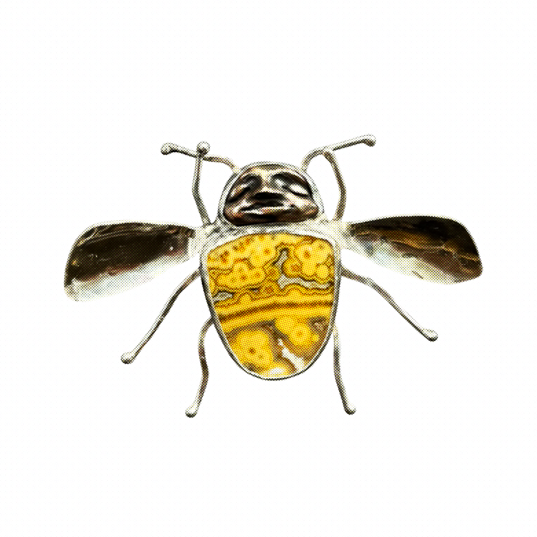 Untitled_Artwork 36.PNG