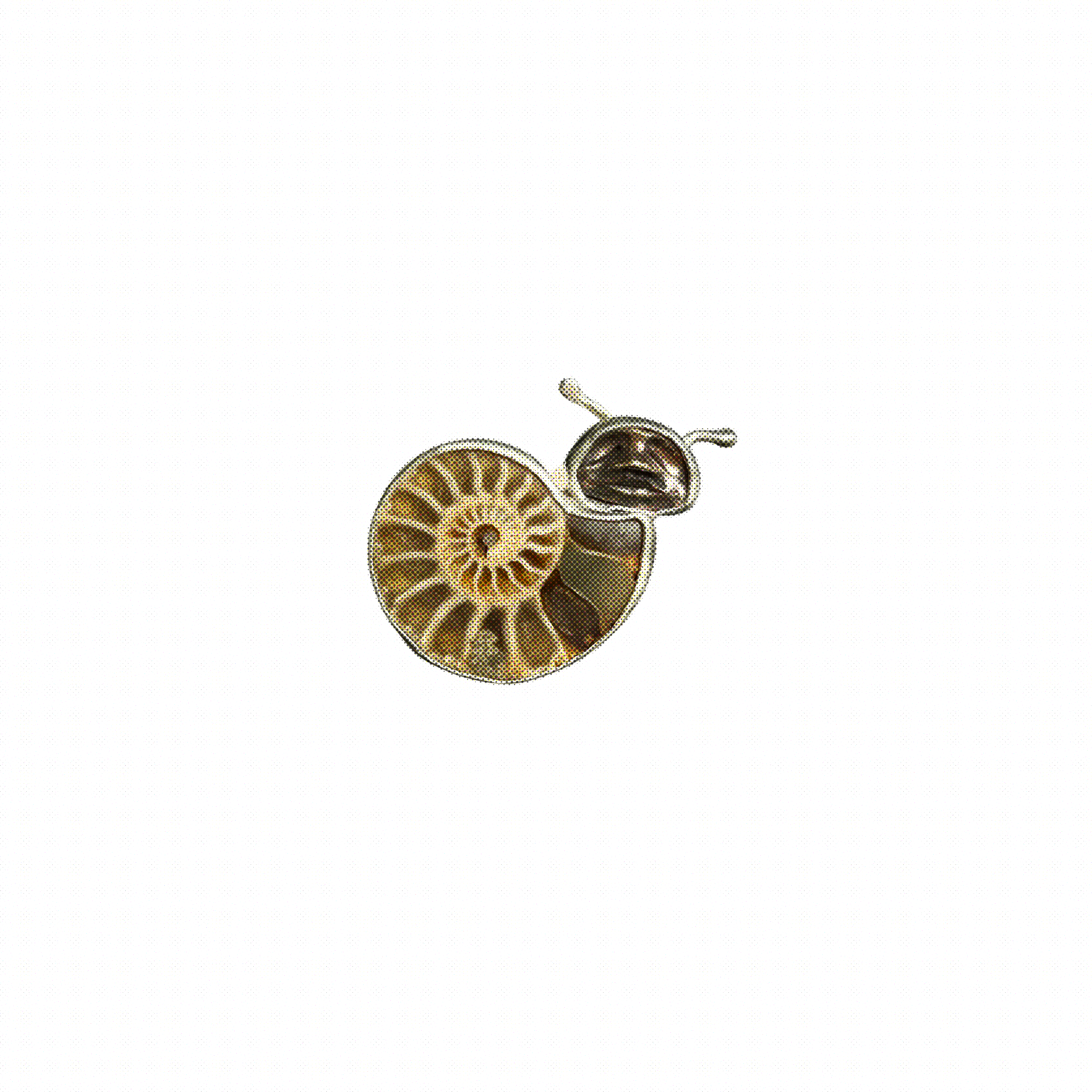 Untitled_Artwork 50.PNG