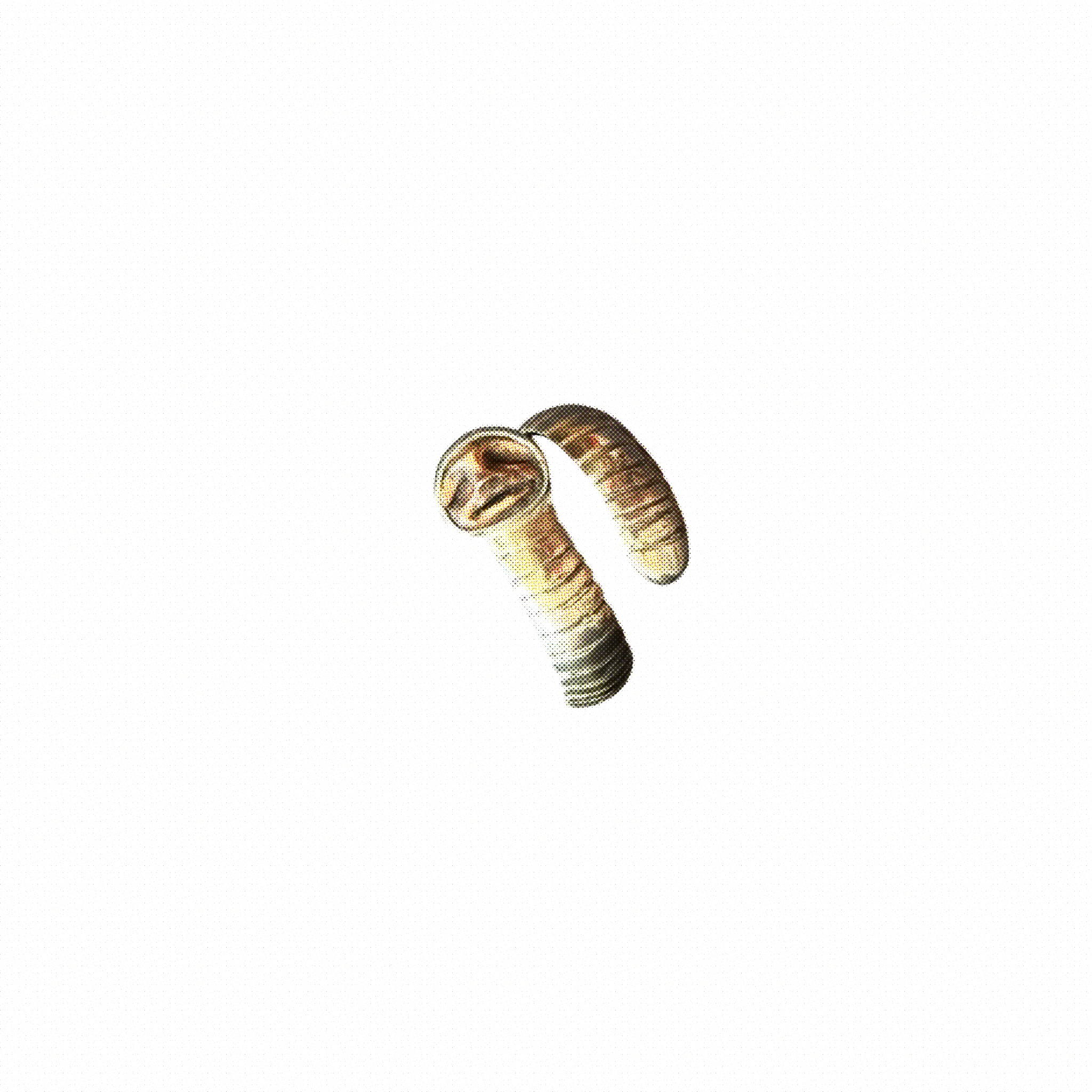 Untitled_Artwork 31.PNG