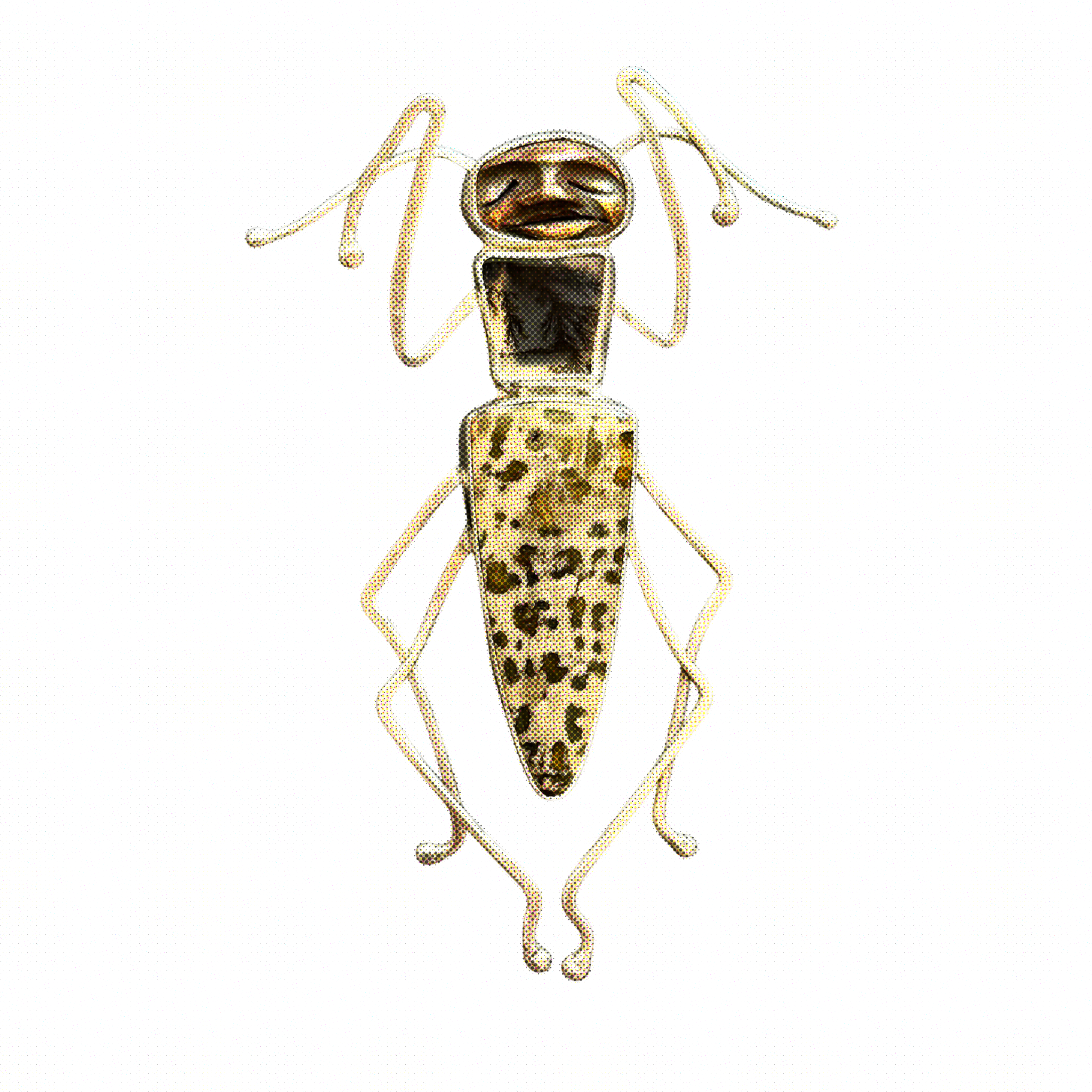 Untitled_Artwork 42.PNG