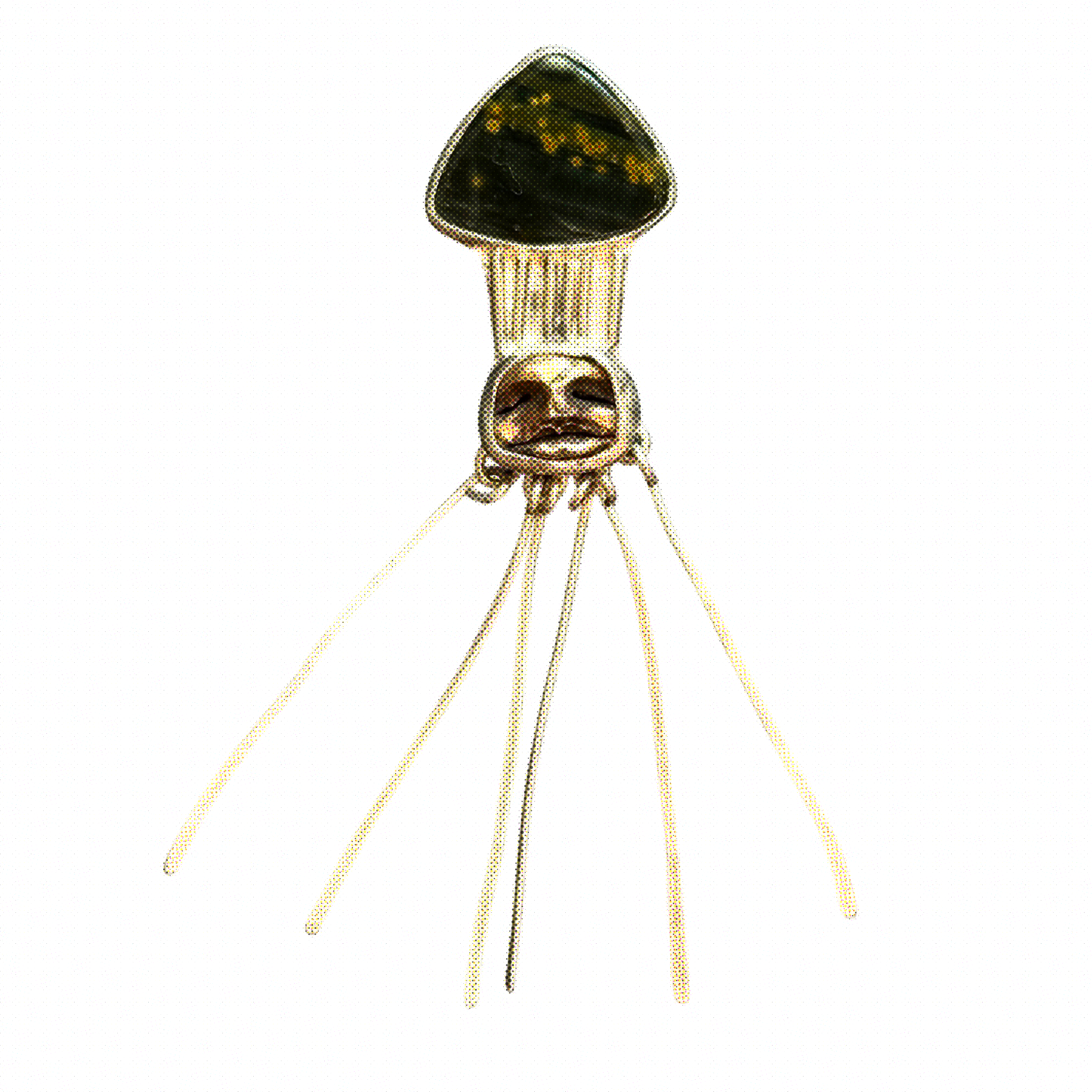 Untitled_Artwork 23.PNG