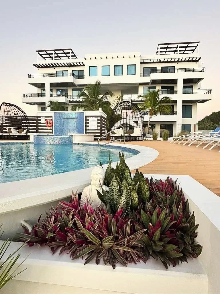Luxury modern apartment complex with a swimming pool, outdoor lounging area, and tropical plants, including a Buddha statue in a planter.  Elevator Building, Unit S2, Blu Zen Belize