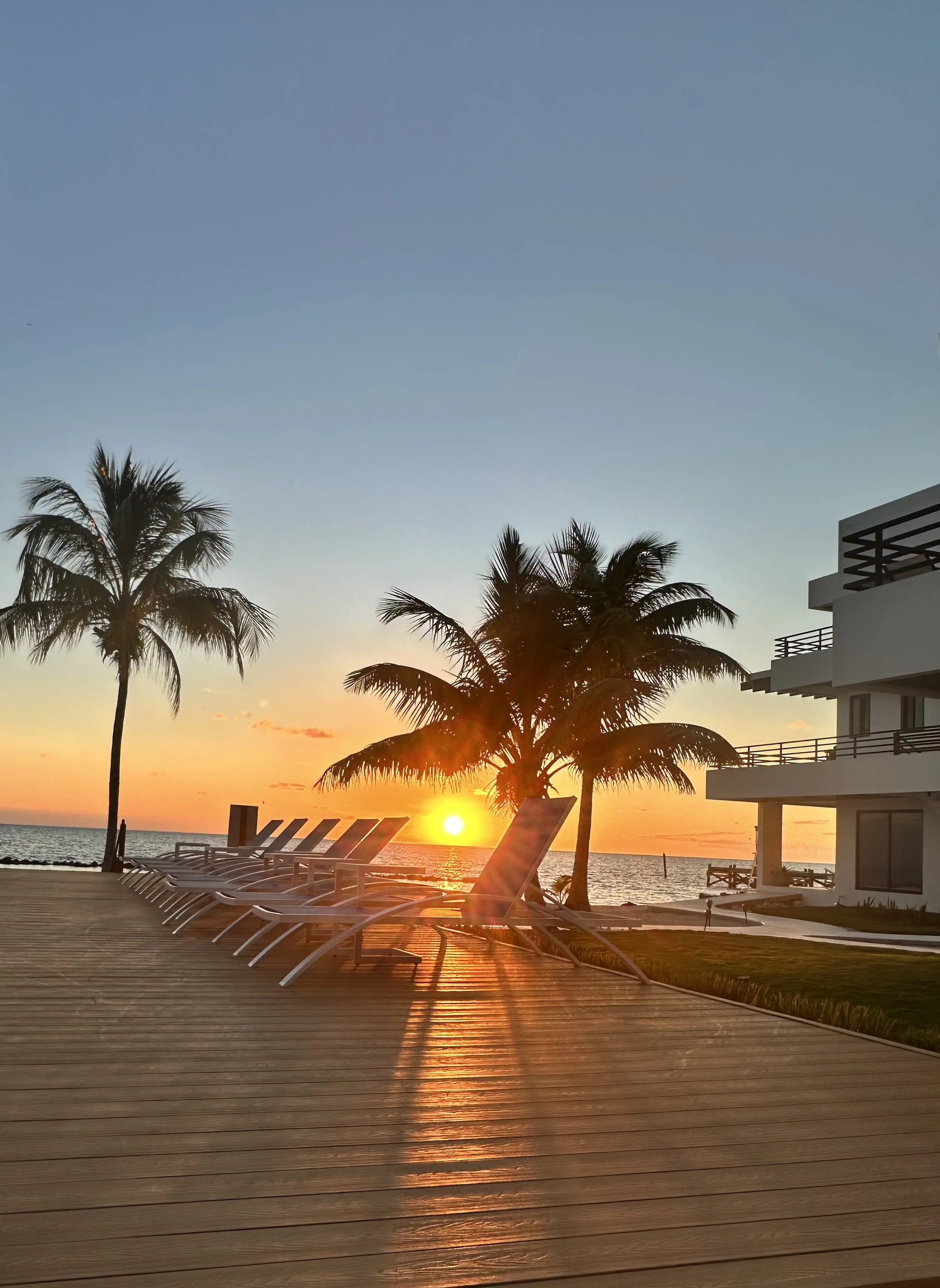 Sunset over the ocean with palm trees, empty lounge chairs on a wooden deck, and a modern building on the right.