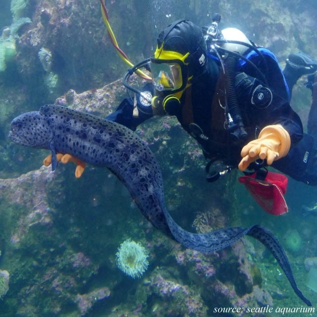 Fun with Education at Home