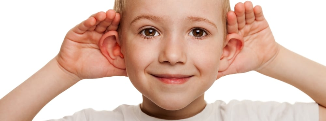 A young boy with light brown hair and brown eyes holding his hands behind his ears, smiling at the camera.