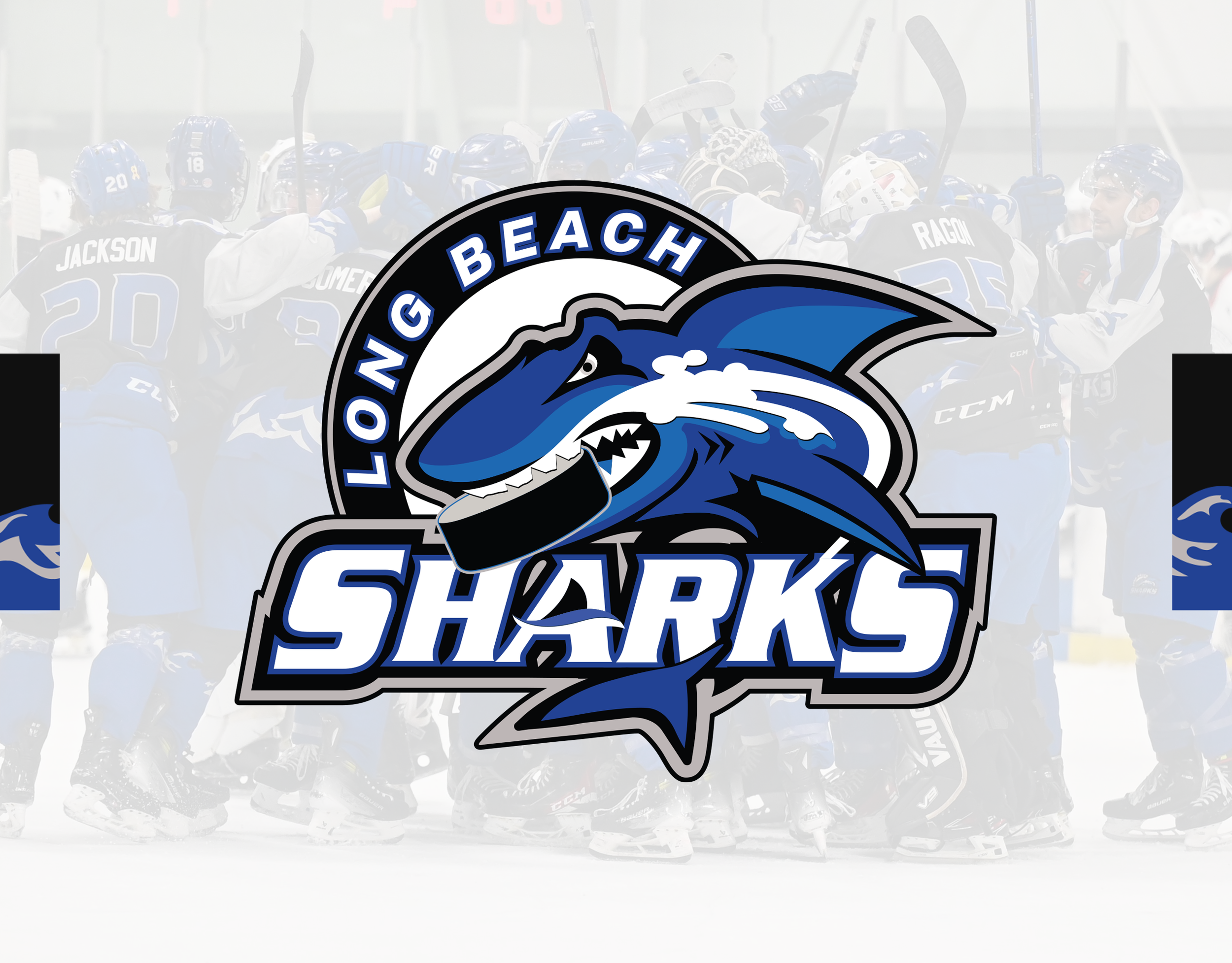 Long Beach Sharks 2024-25