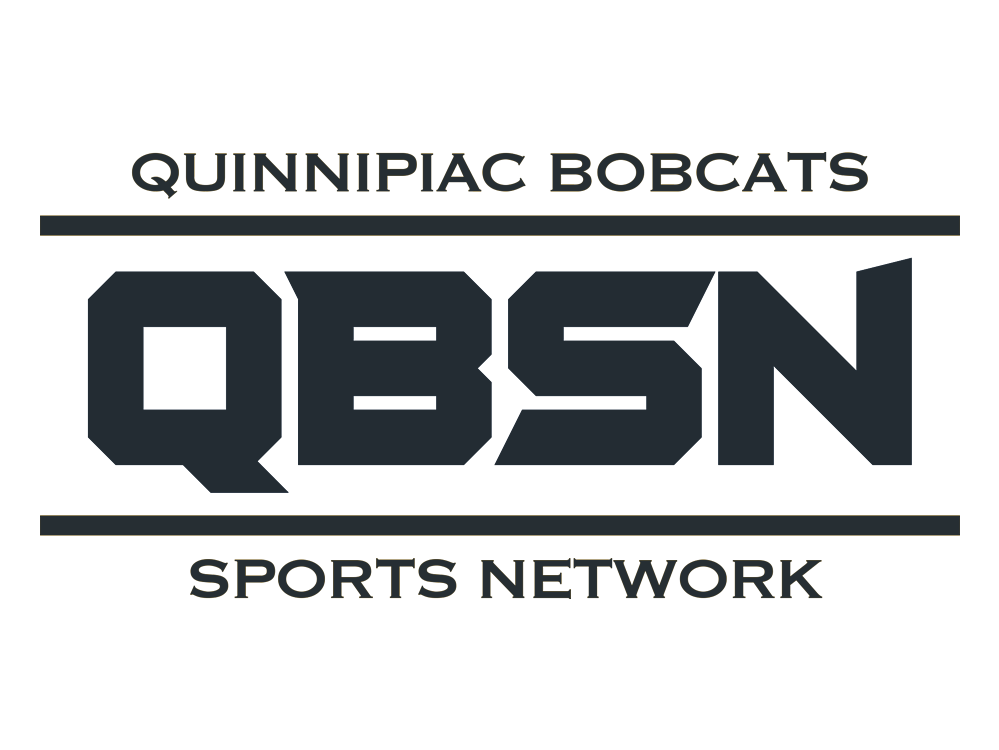 QBSN Logo Gray