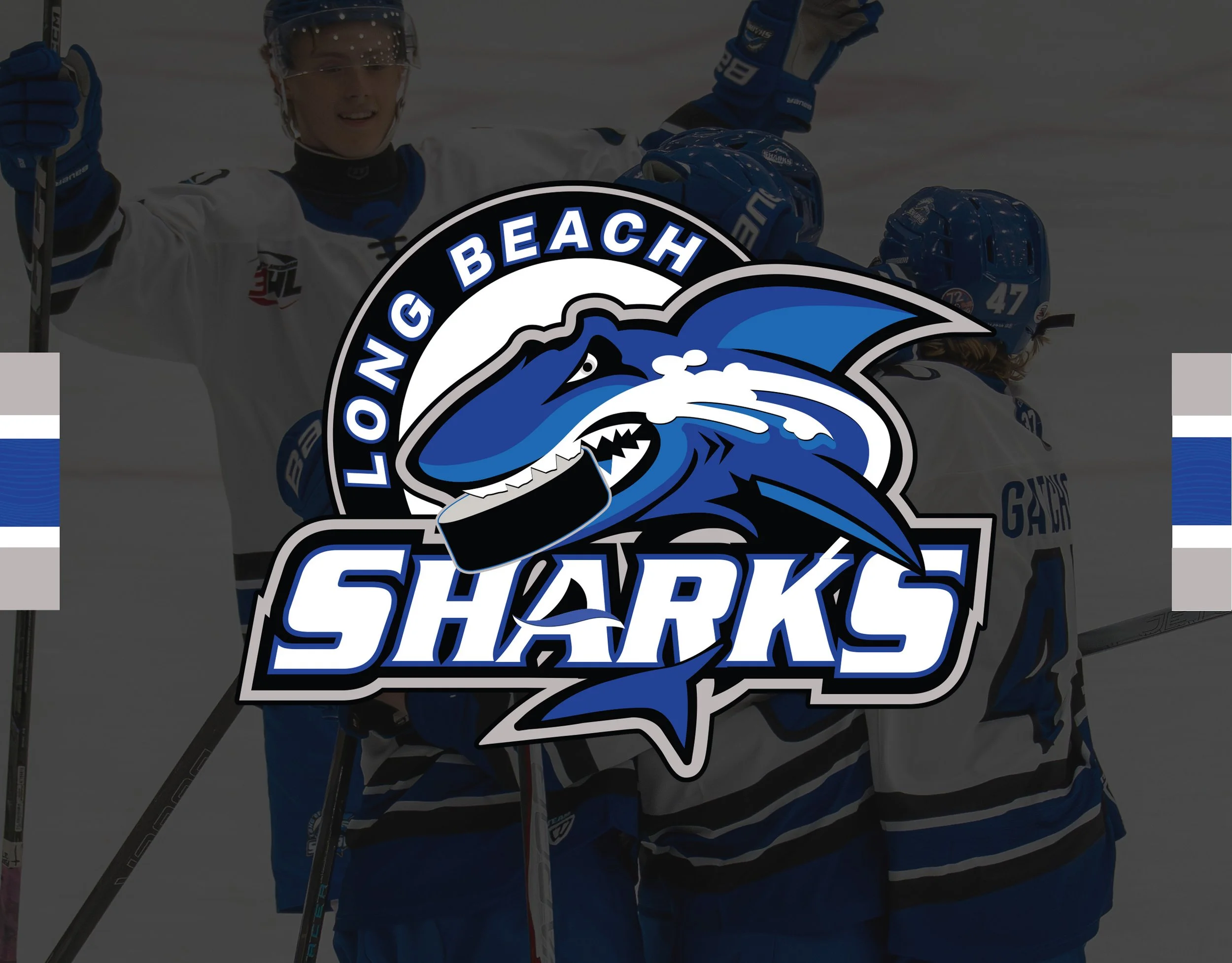 Long Beach Sharks 2025-26