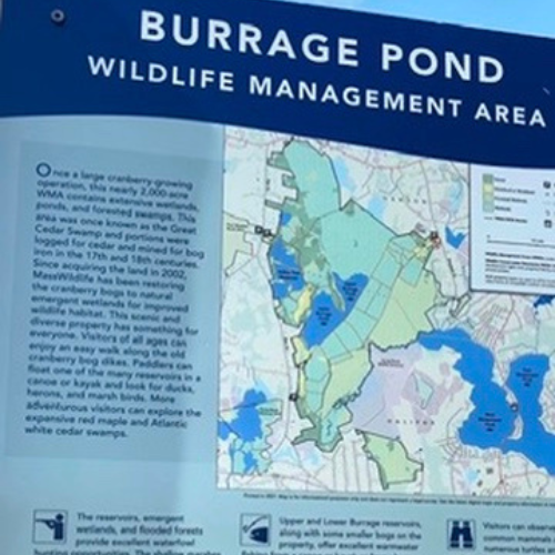 map of burrage pond at the burrage