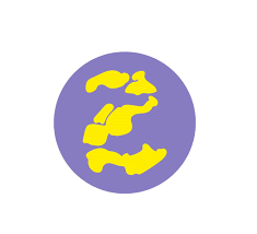 zeelandia logo.png