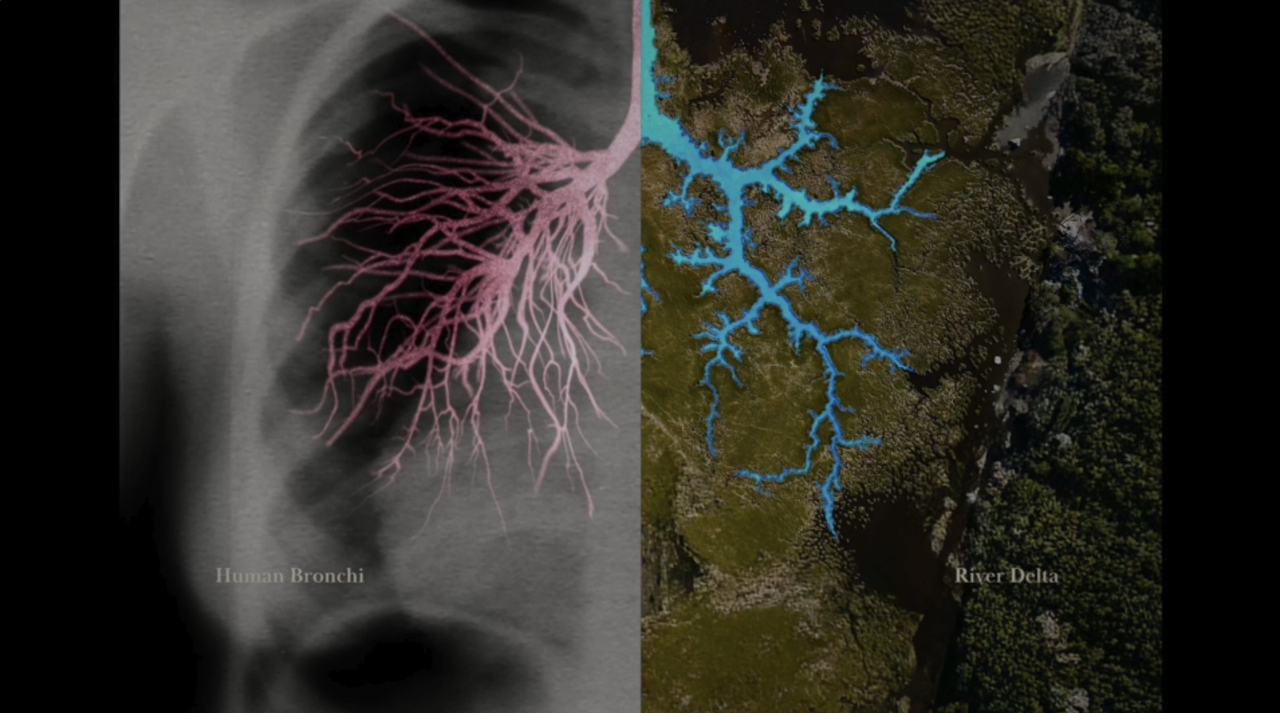 Screenshot 2026-03-18 at 13.09.10.jpeg