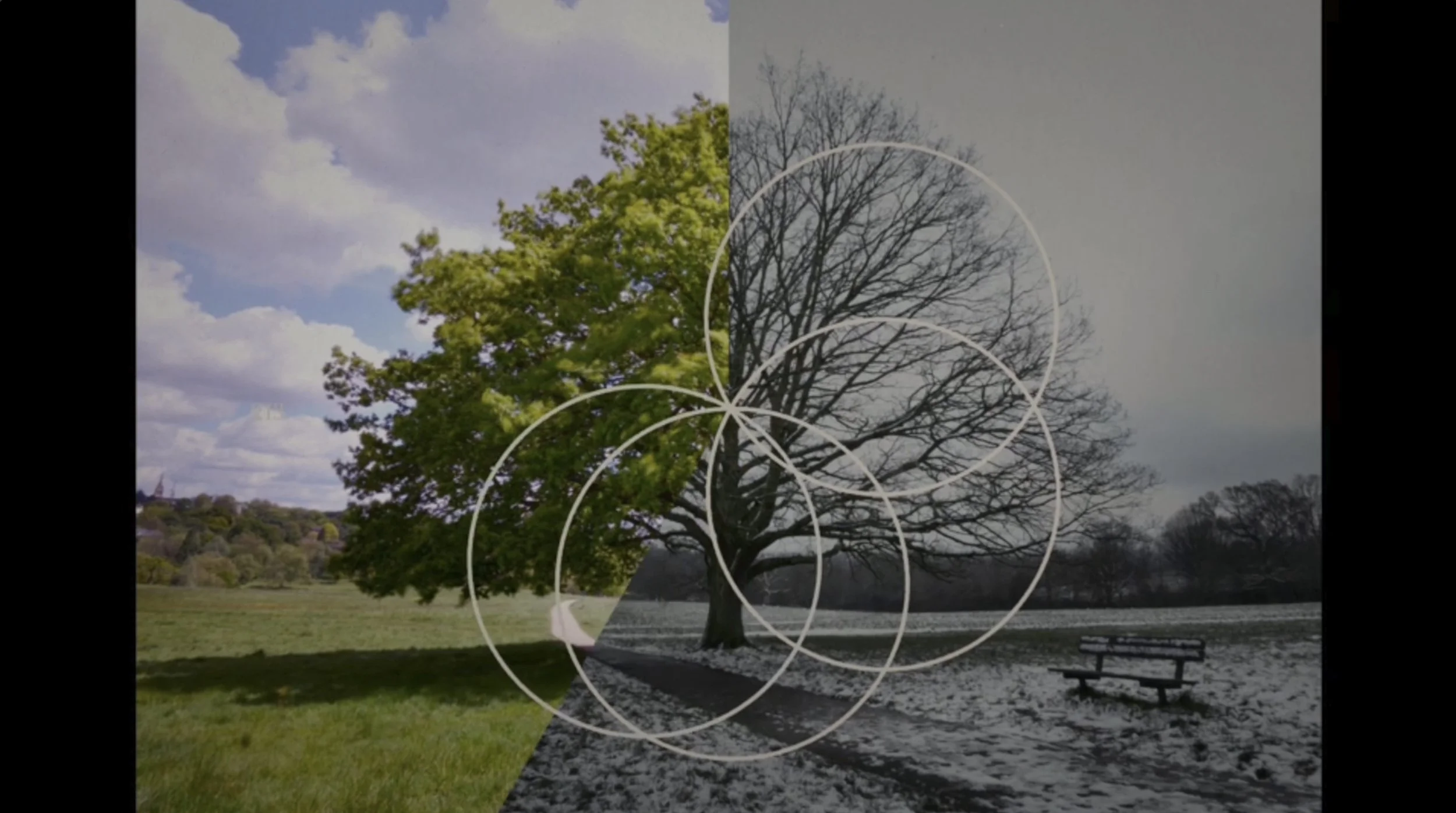 Screenshot 2026-03-18 at 13.10.15.jpeg