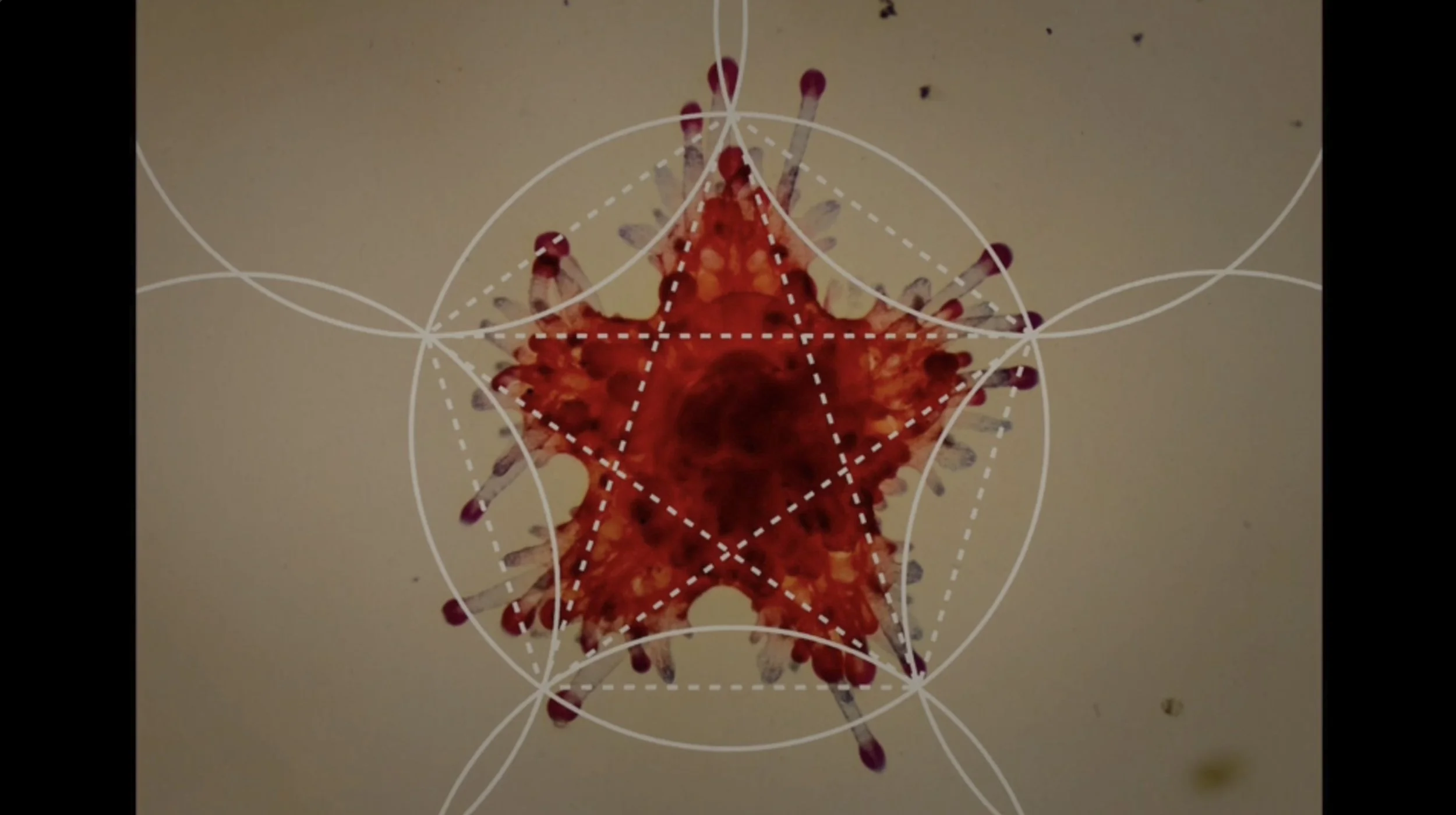 Screenshot 2026-03-18 at 13.06.40.jpeg