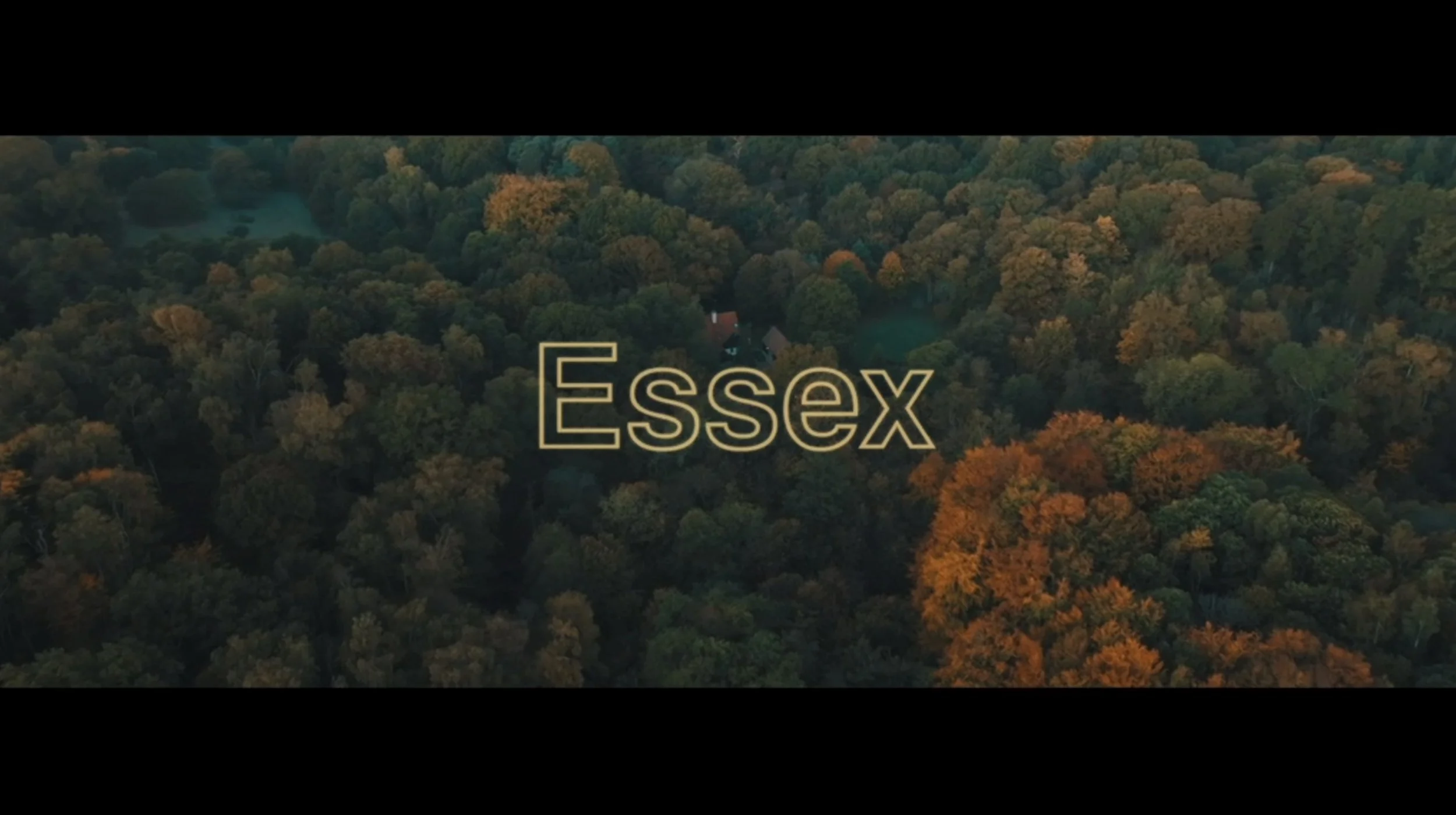 Screenshot 2026-03-31 at 18.09.03.jpeg