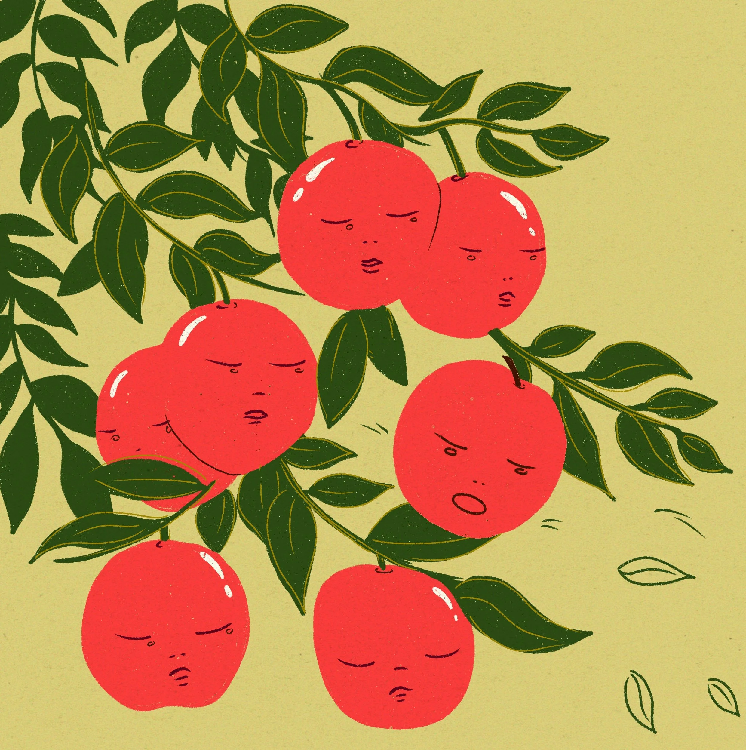 Ilustración_sin_título 1.jpg