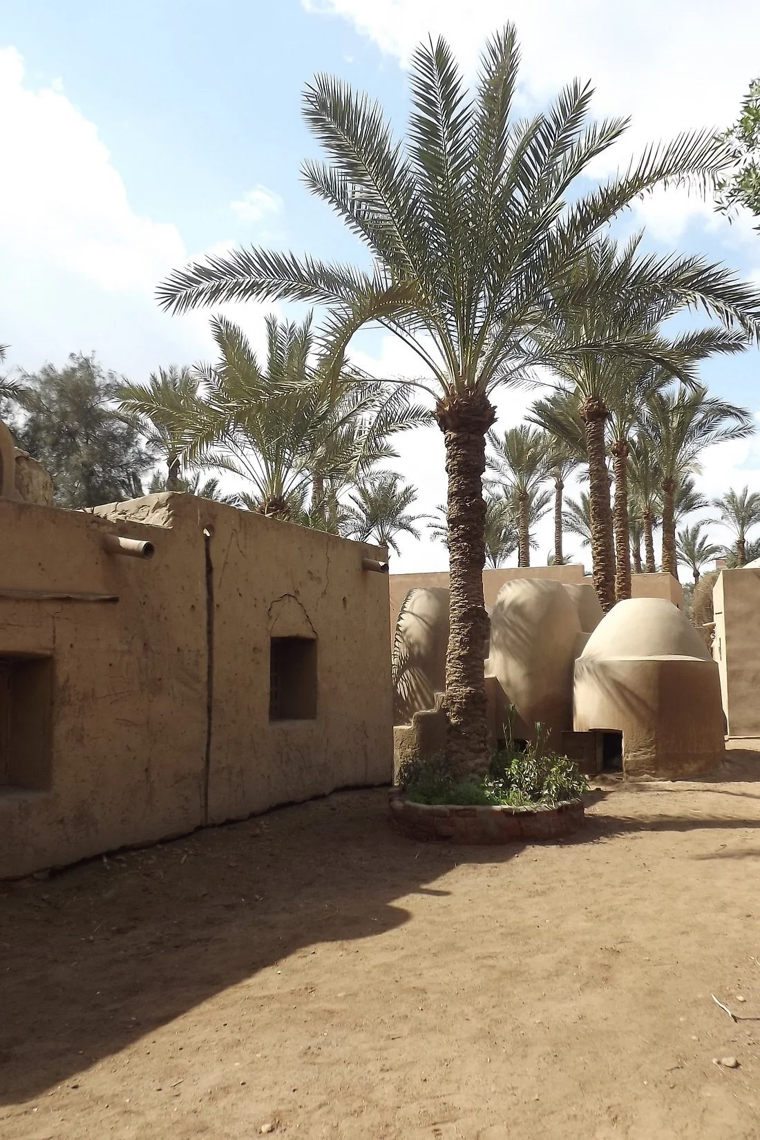 Desert scene with sandy ground, tall palm trees, traditional mud-brick structures, and a partly cloudy sky.