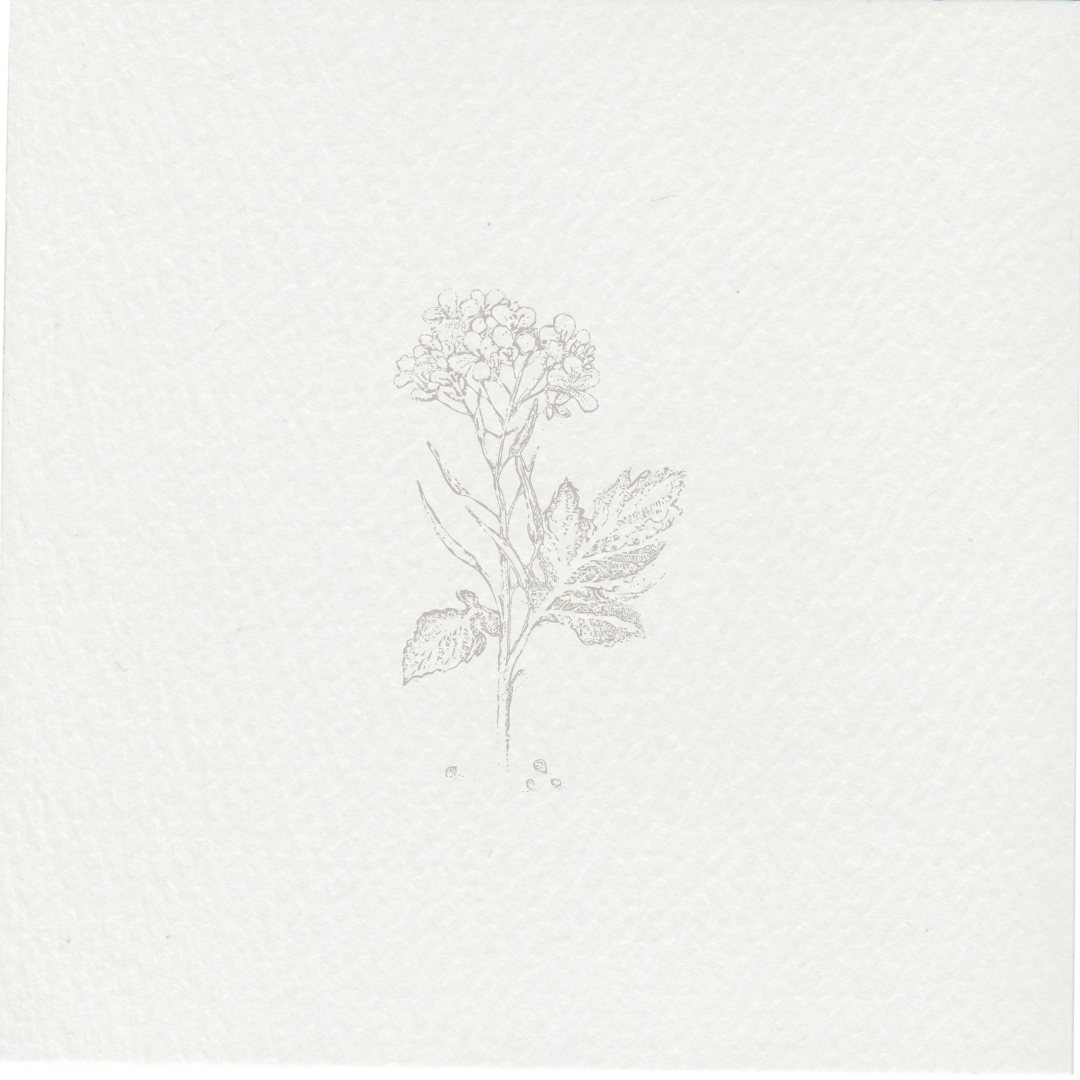 Naming What Was Already There