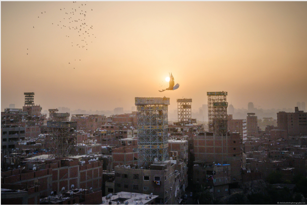 Cityscape at sunset with a bird flying in front of the sun and several buildings, most under construction, in the foreground.