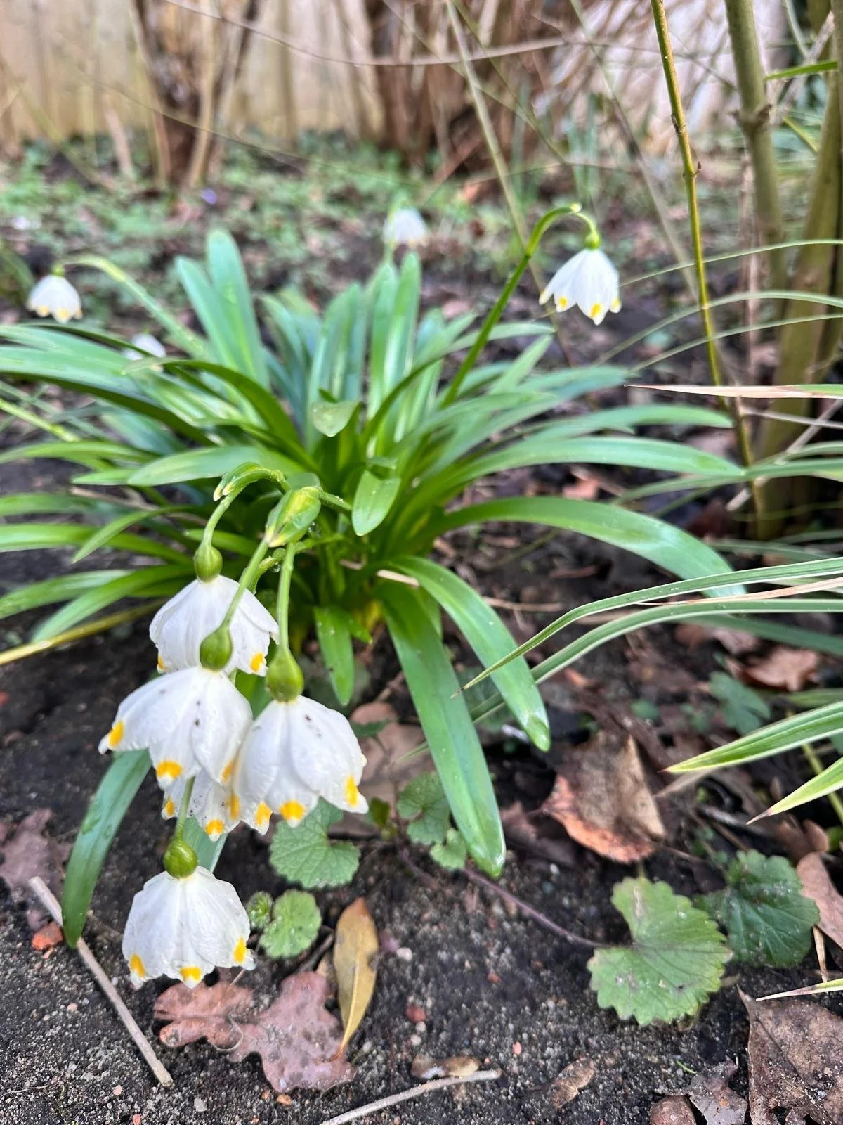 260319  78ae0245-b0ae-40e0-a638-46f9269df466.JPG