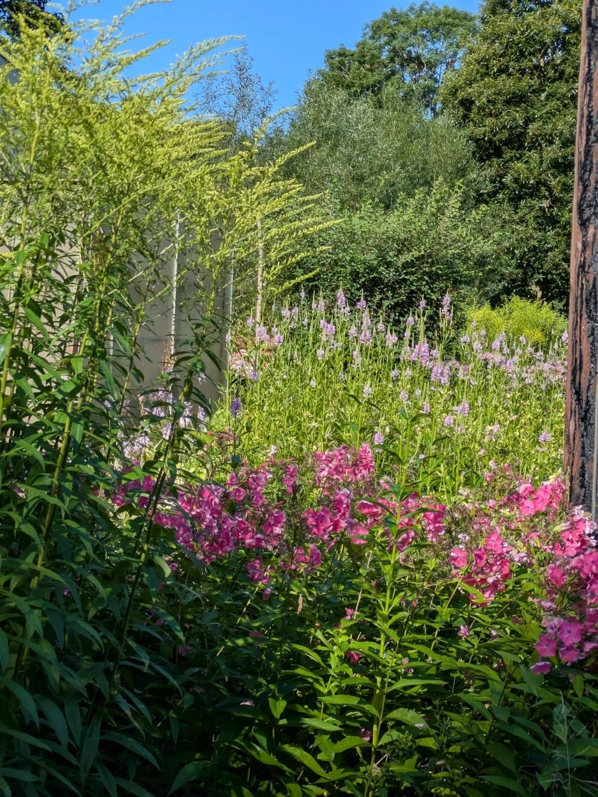 260302  10dac9ca-30cd-4e25-a38d-ea3518c2c416.jpeg