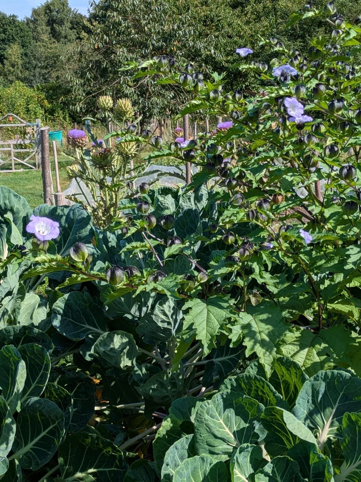 260302  981c6ff9-6436-4d2e-9bed-34e01764a660.jpeg