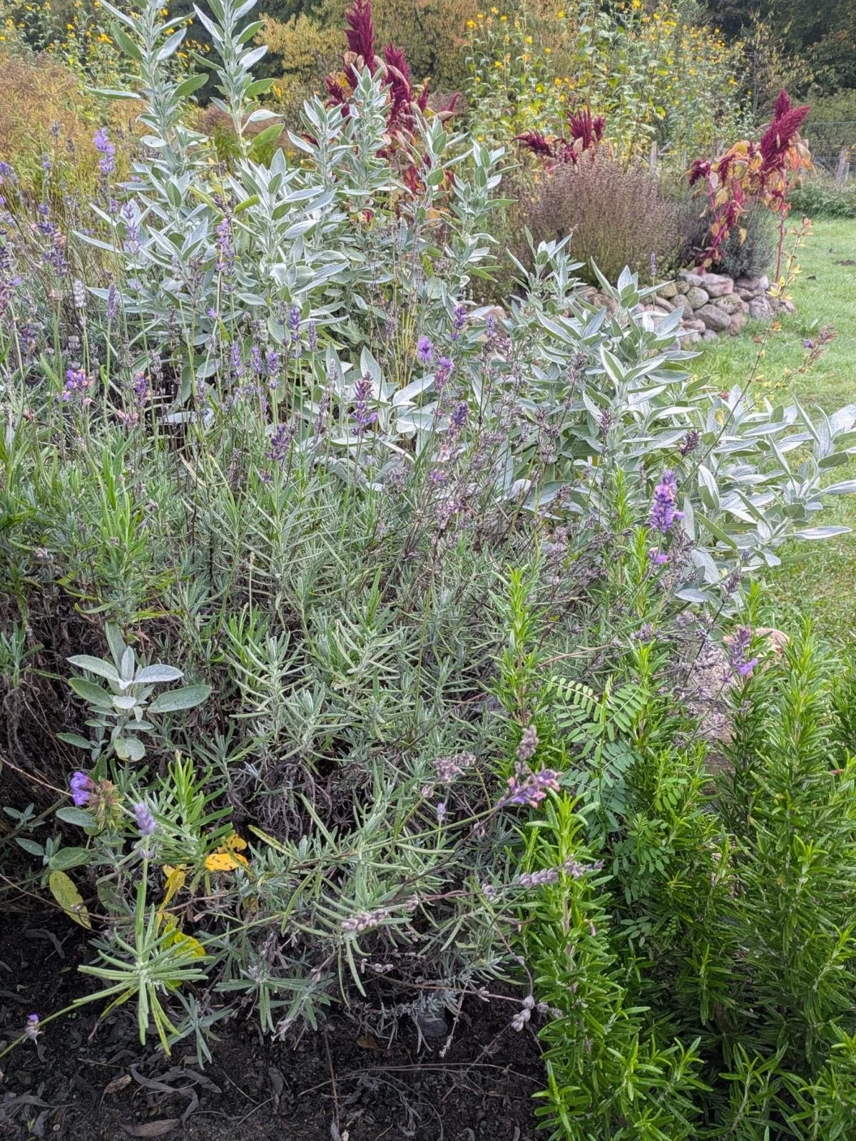 260302  aa03903f-cb5c-4f98-87ac-e2ff2b24ccc5.jpeg