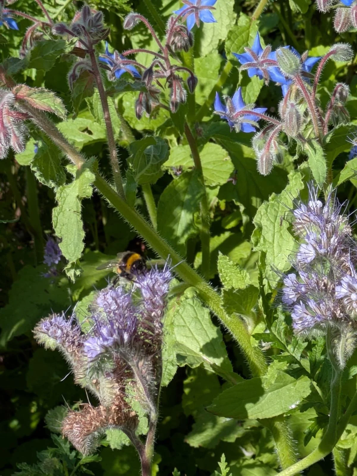 260302  1ffd154f-f5f9-4210-afe4-f55256278923.jpeg