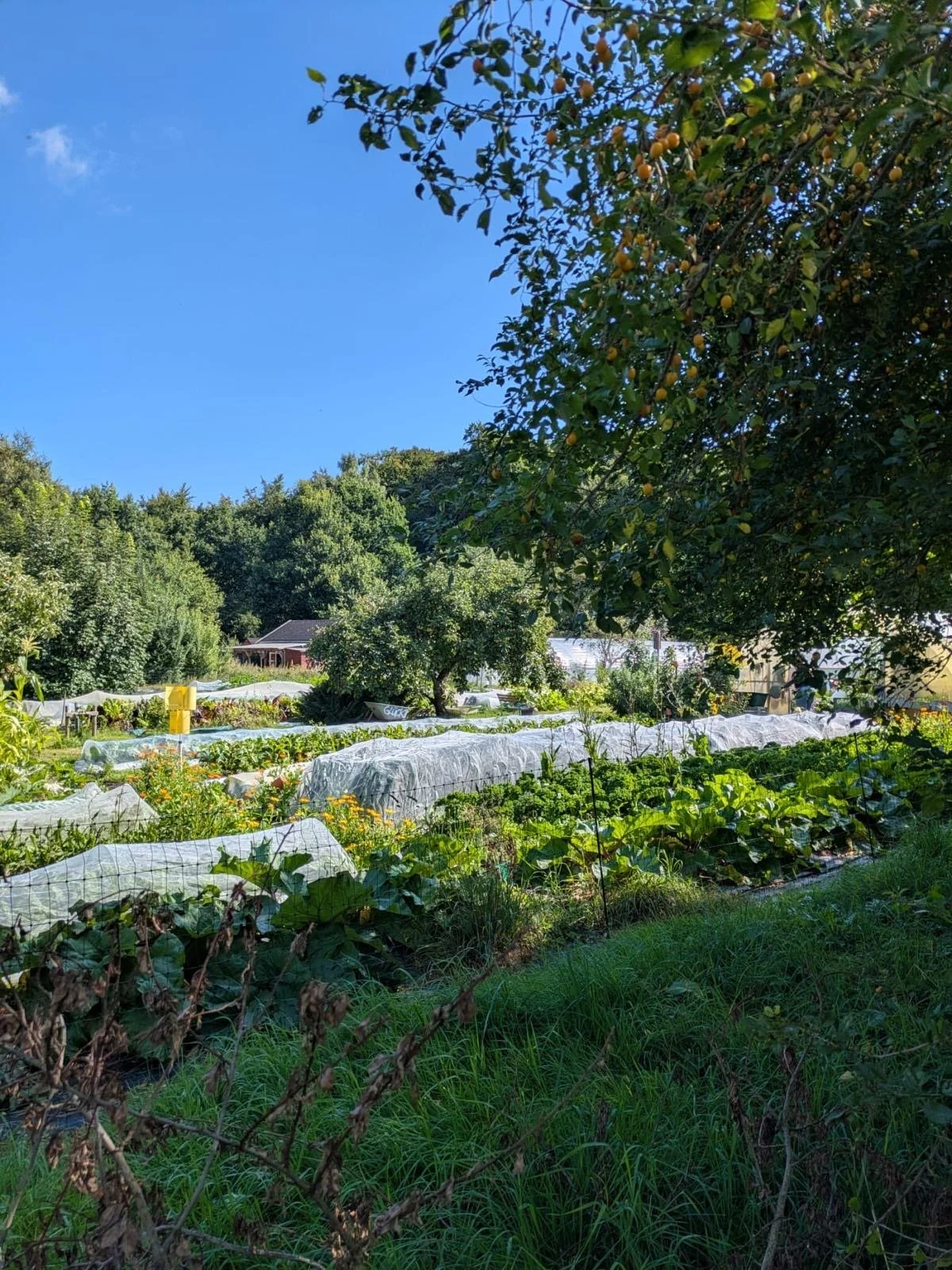 260302  9b8ed8f4-c259-4f4e-b35a-632d367ea10f.jpeg