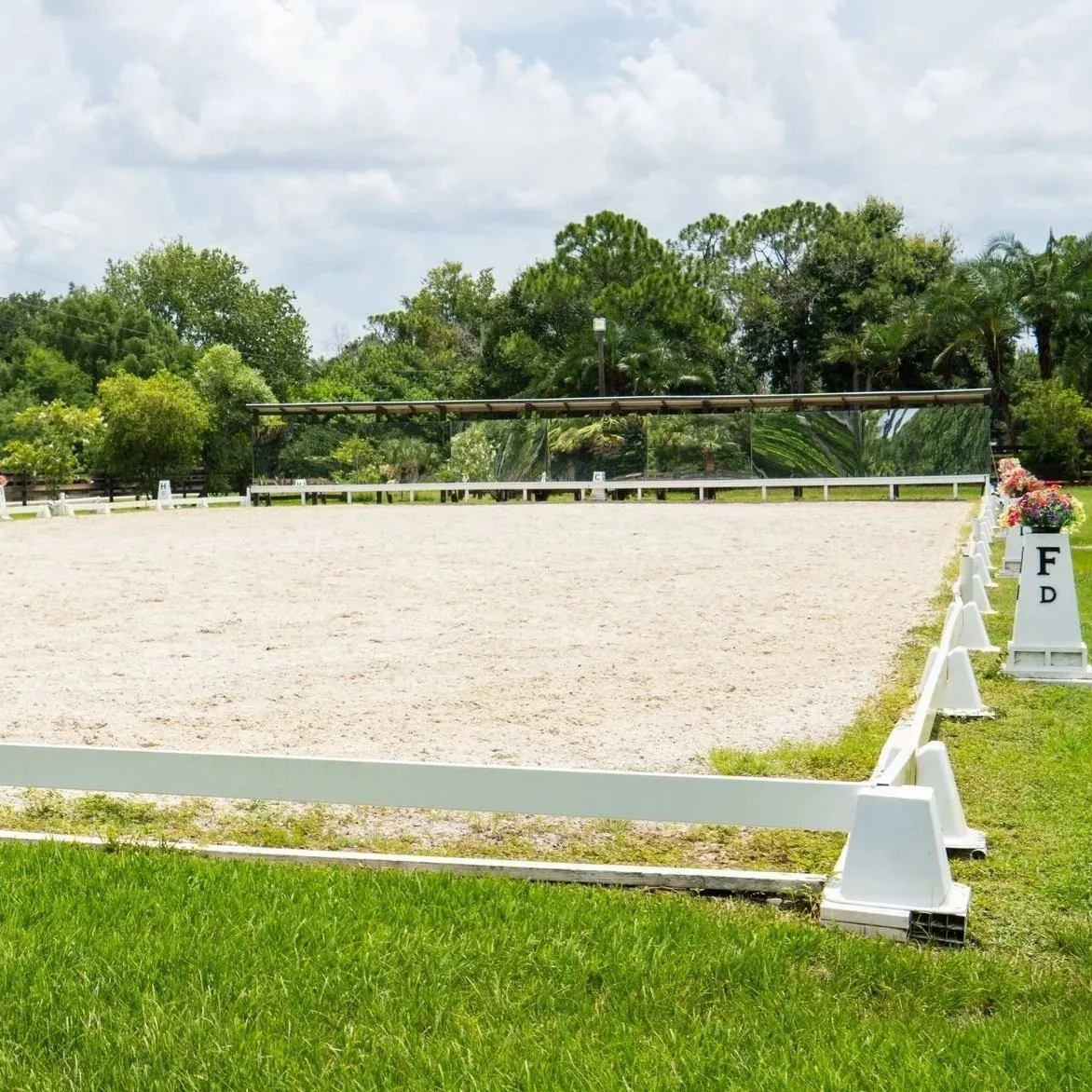Dressage Arena
