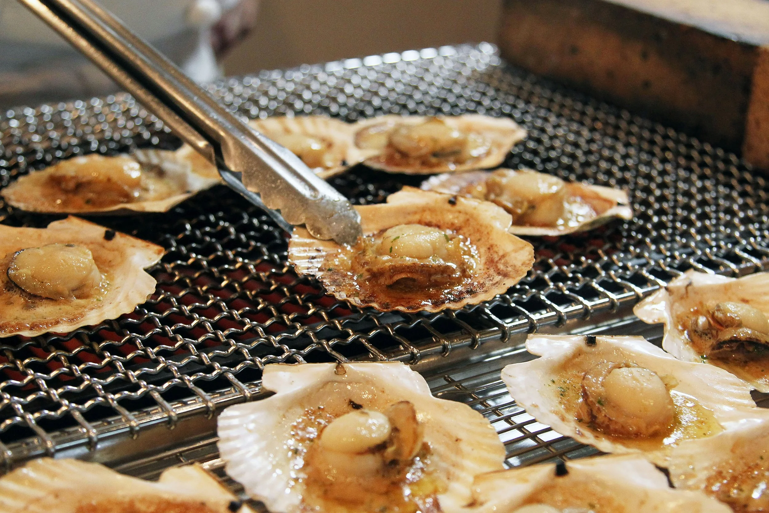 Coquilles Saint-Jacques en train d'être cuites sur une grille avec des pinces