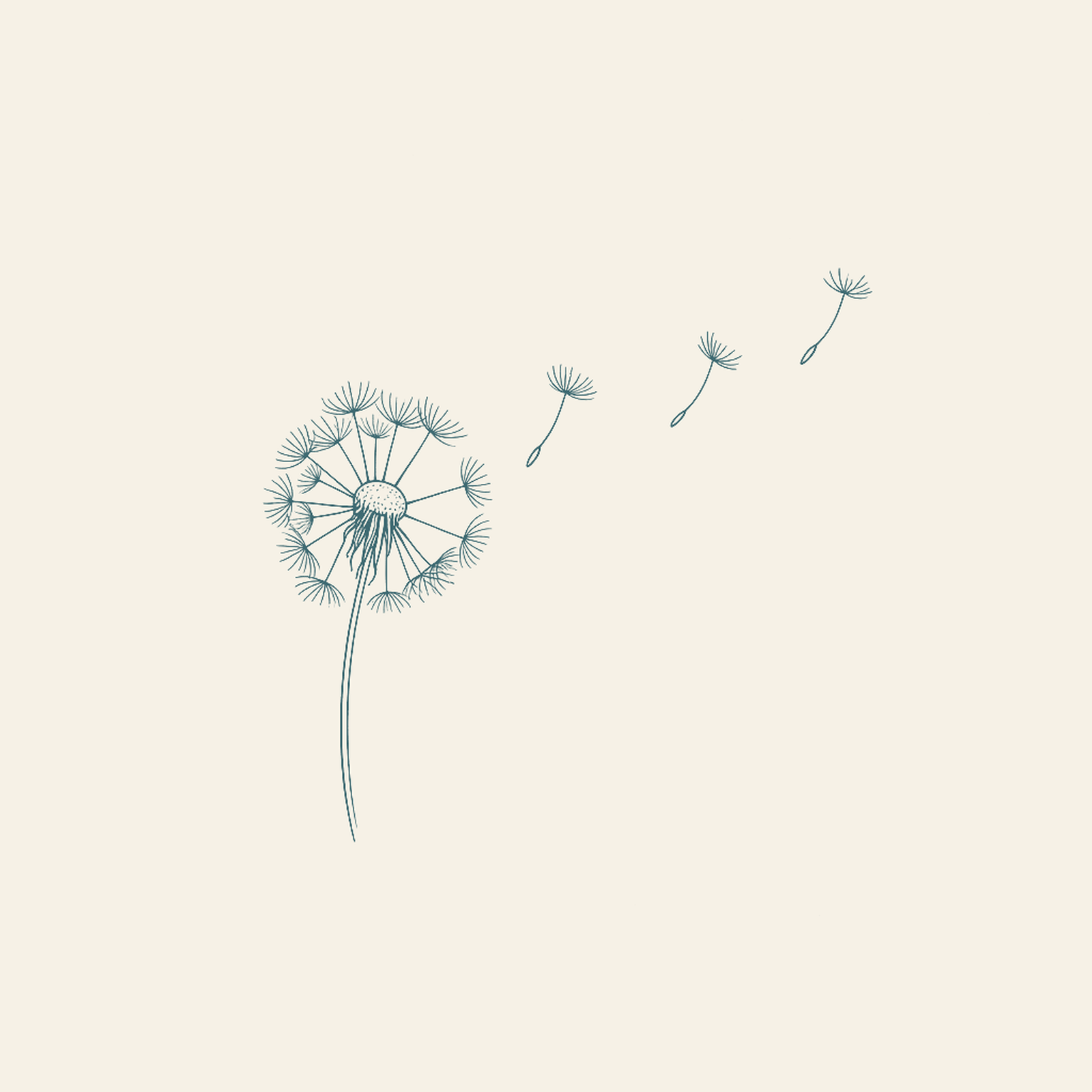 Line drawing of a dandelion with a few seeds drifting, in soft teal on cream