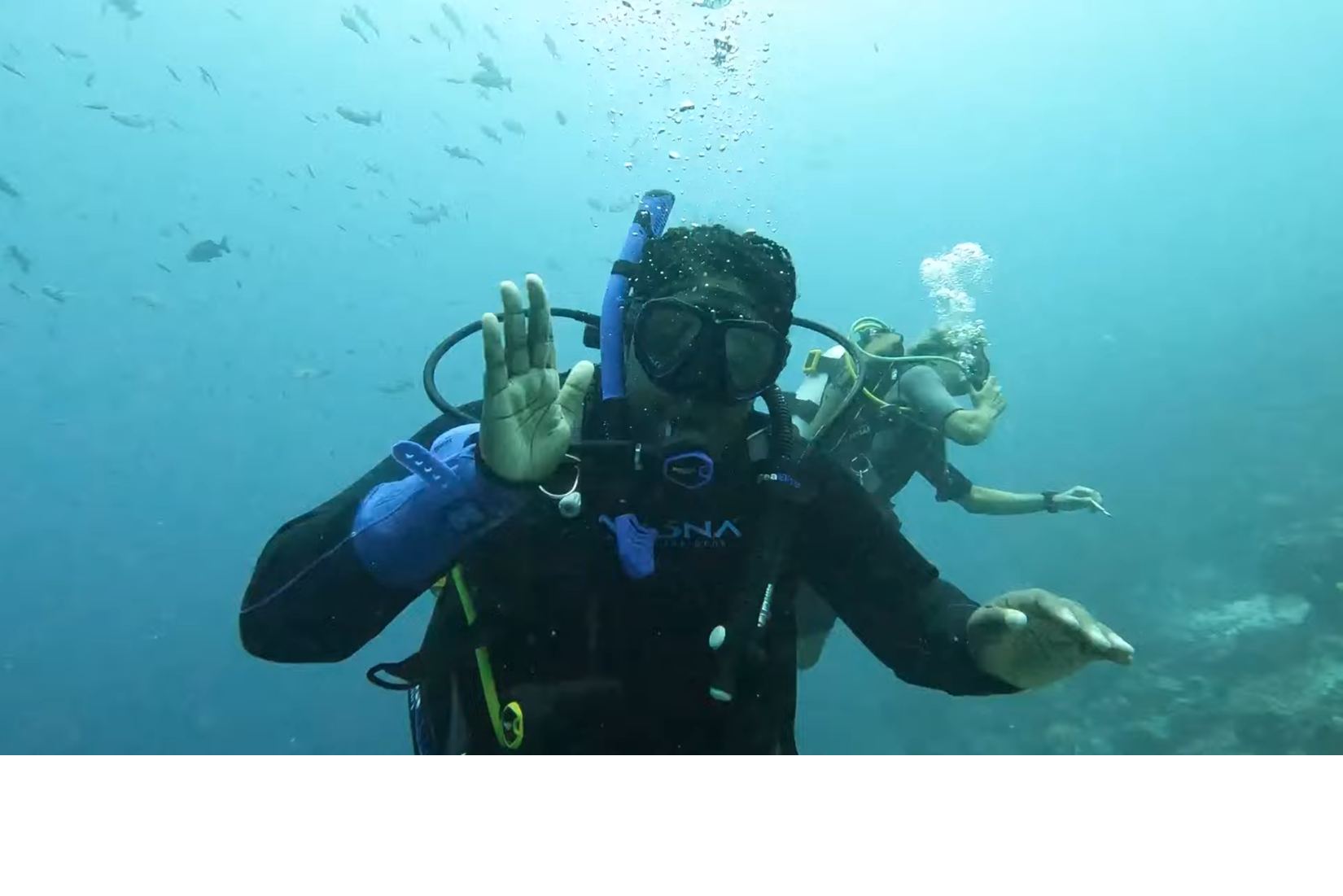 Whale Sharks, Conservation Wins and Self-Care