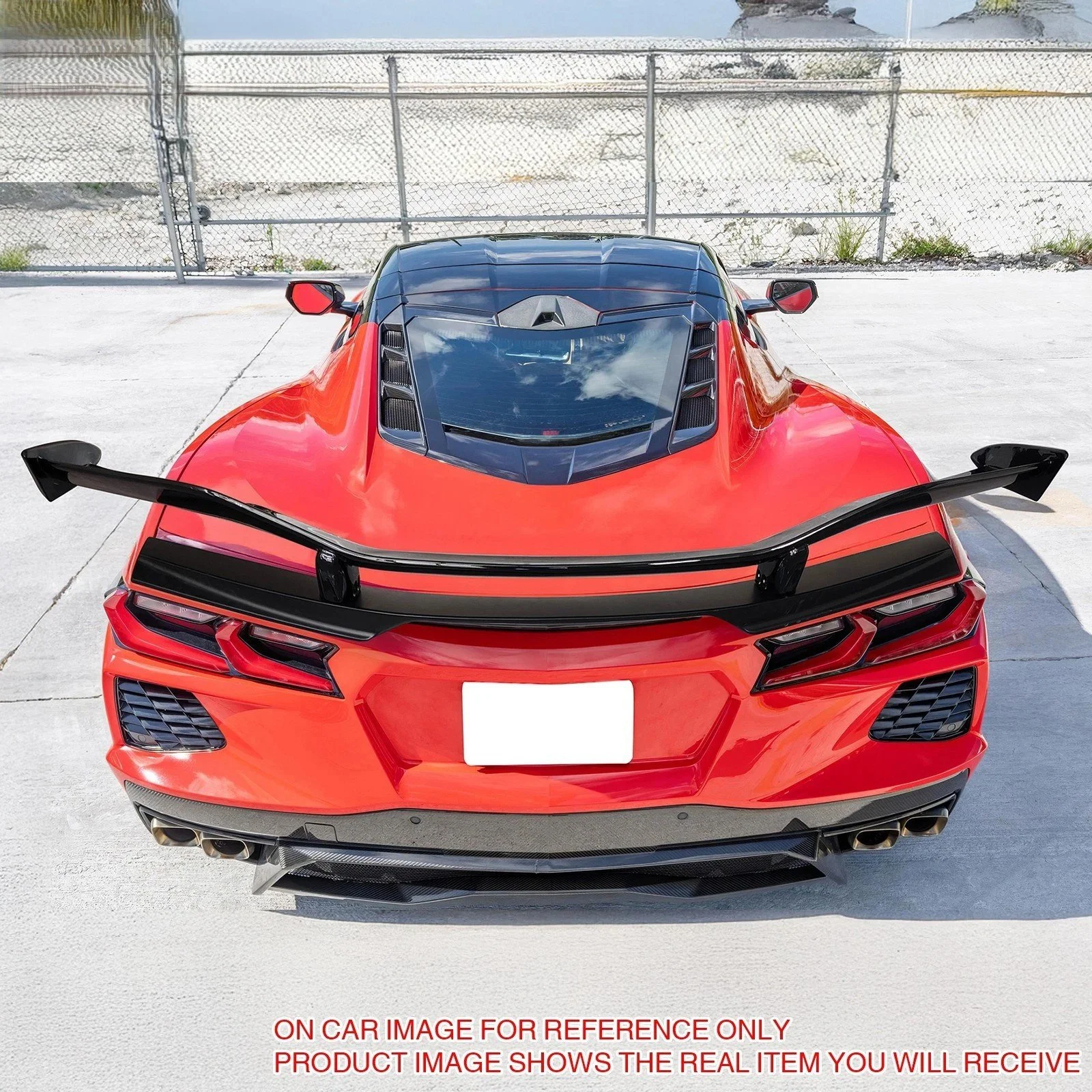 z06 sting.jpg