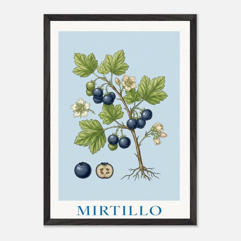 MIRTILLO (framed)