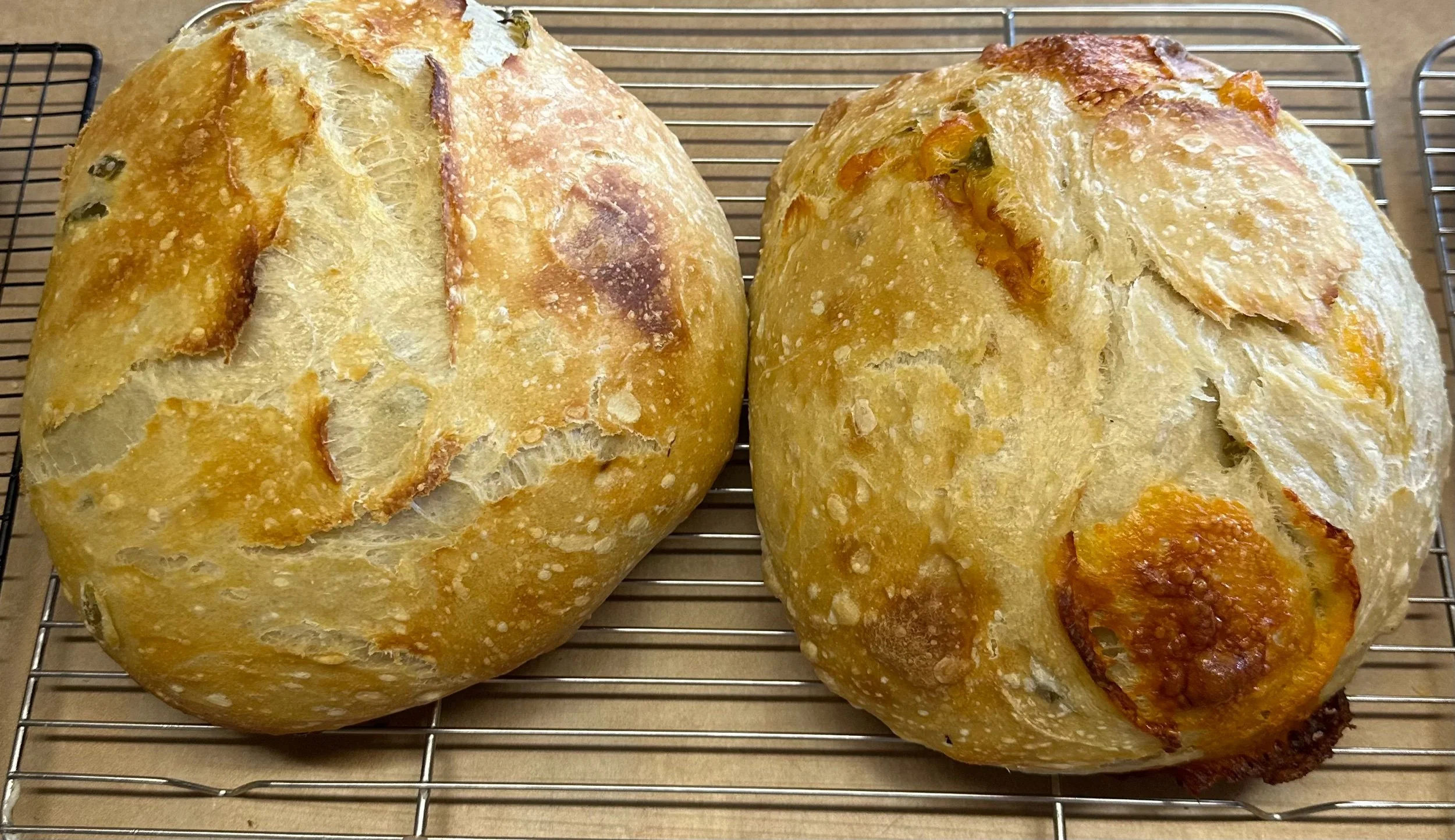 SOURDOUGH CLASSIC LOAVES