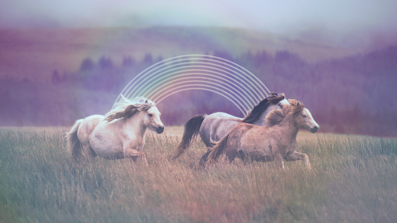 Four horses running through a grassy field with a purple and blue sky background and a digital rainbow overlay.