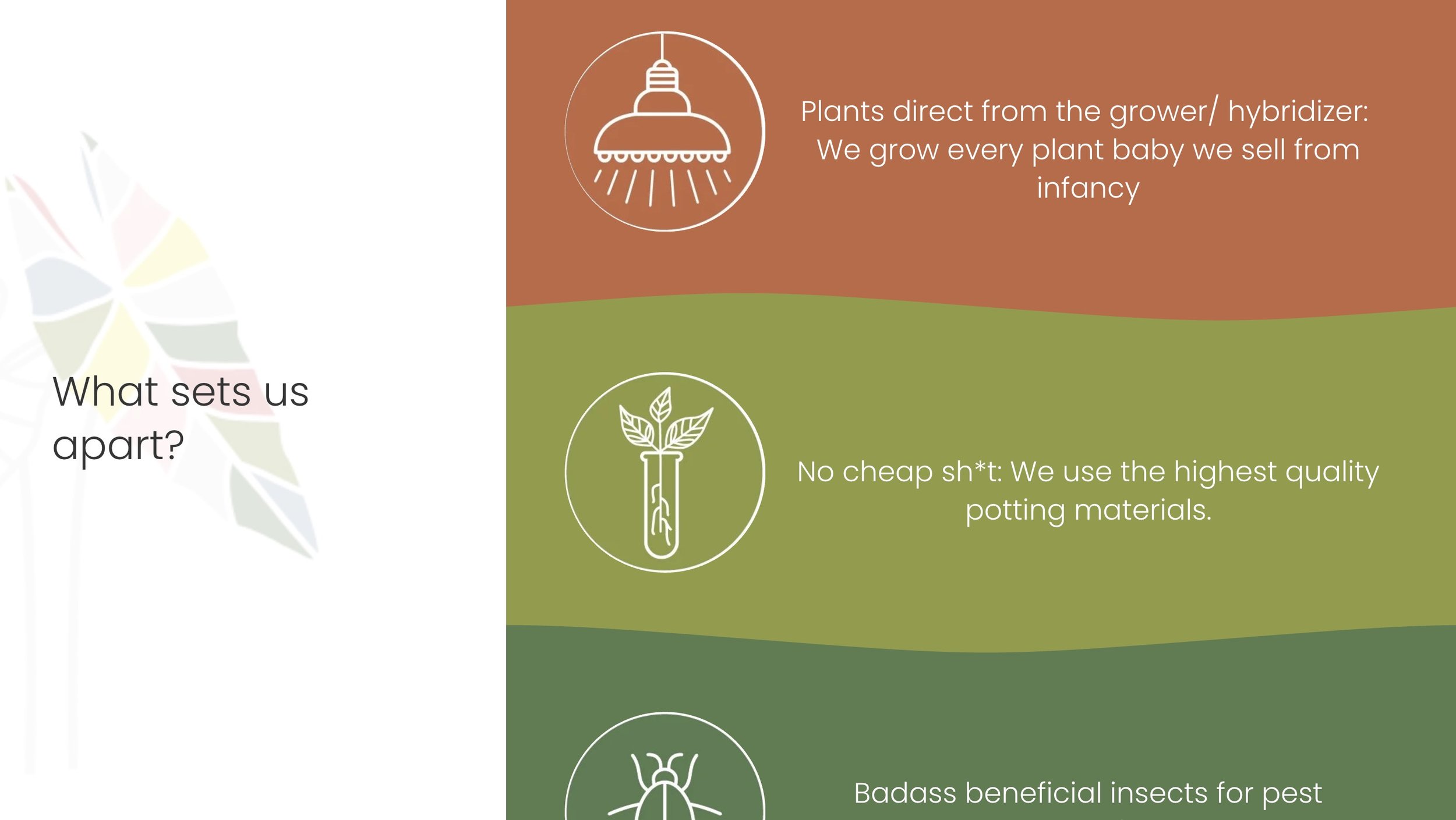 All the plant babies website screenshot